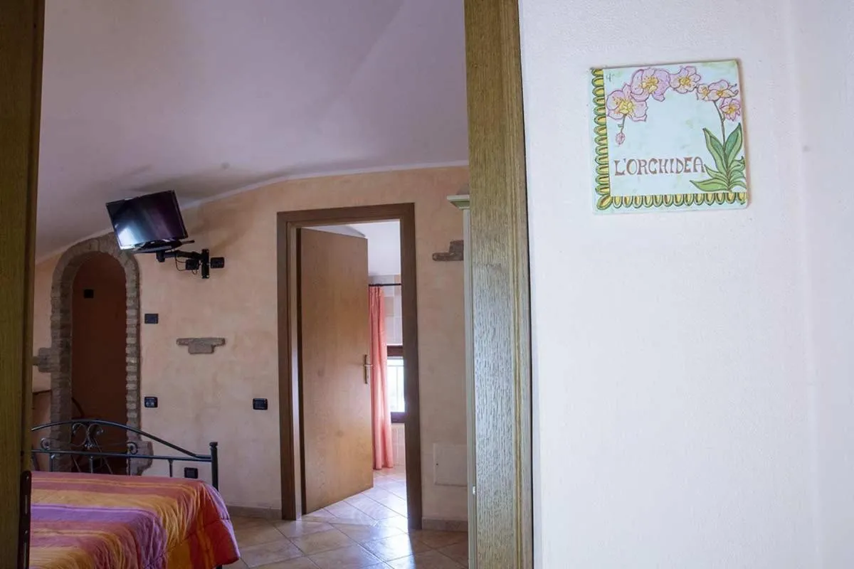 Double Room - single occupancy in Agriturismo Gaspari Farm