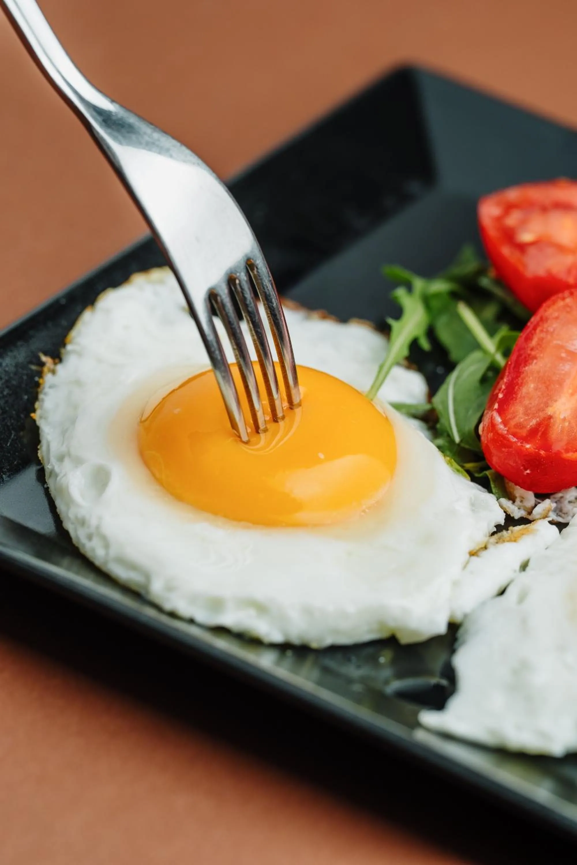 Food in Al Porto Suites - NEW!