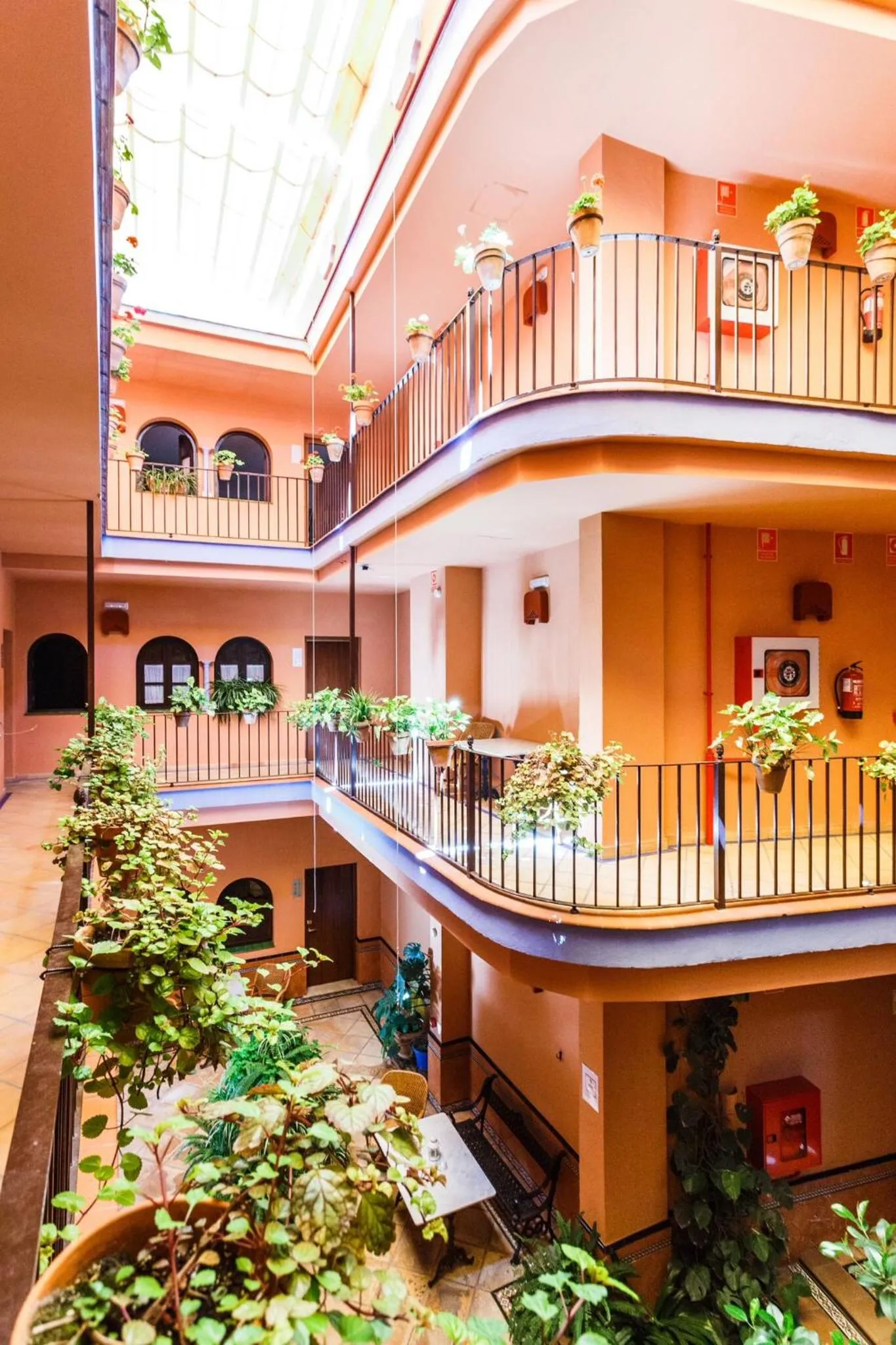 Patio in Patio de La Alameda