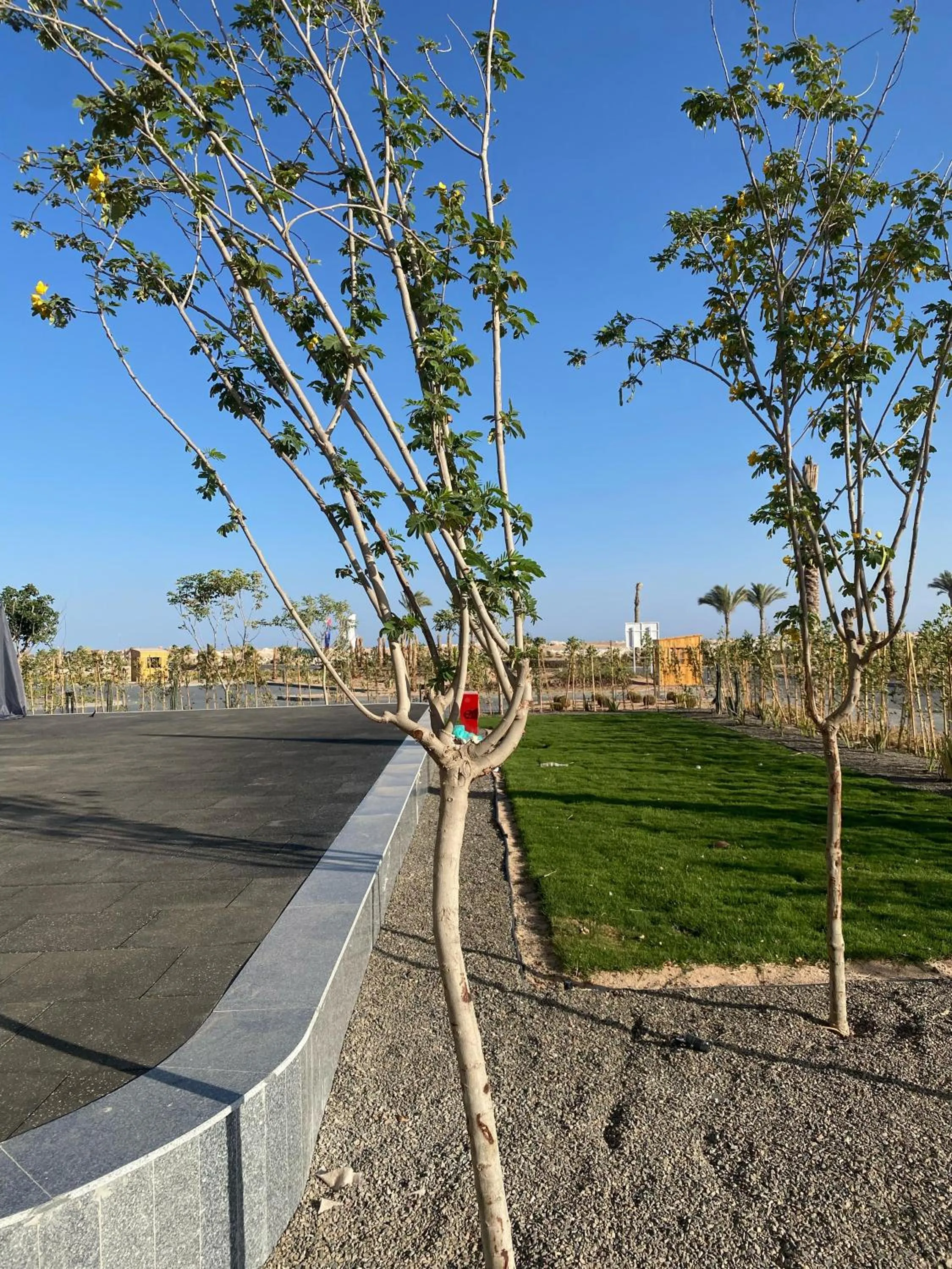 Fitness centre/facilities in The Kaktus Somabay