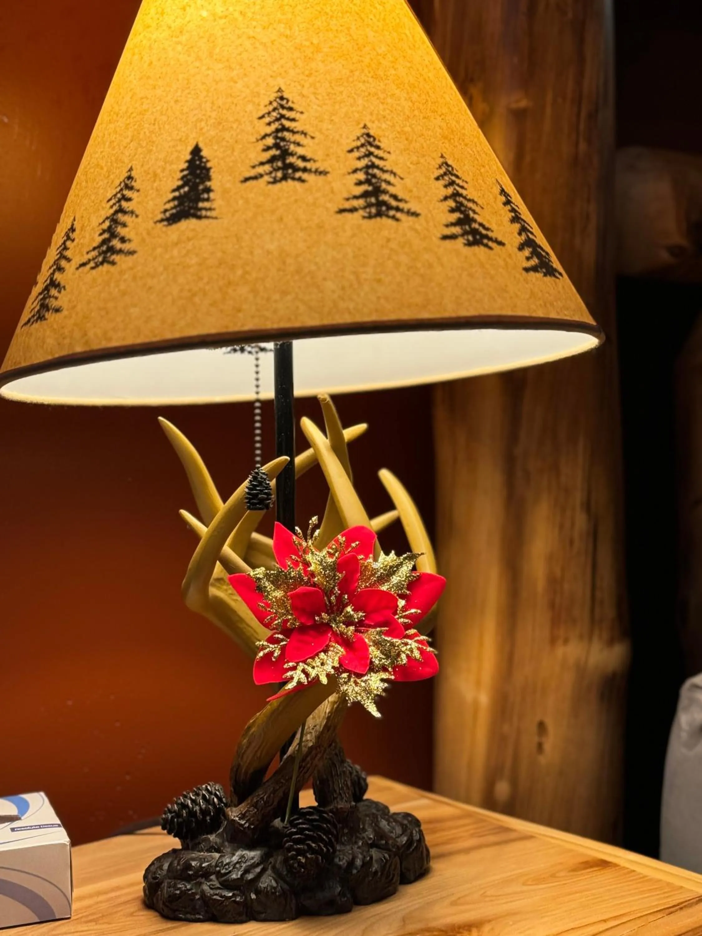 The Sundowner on Lake George