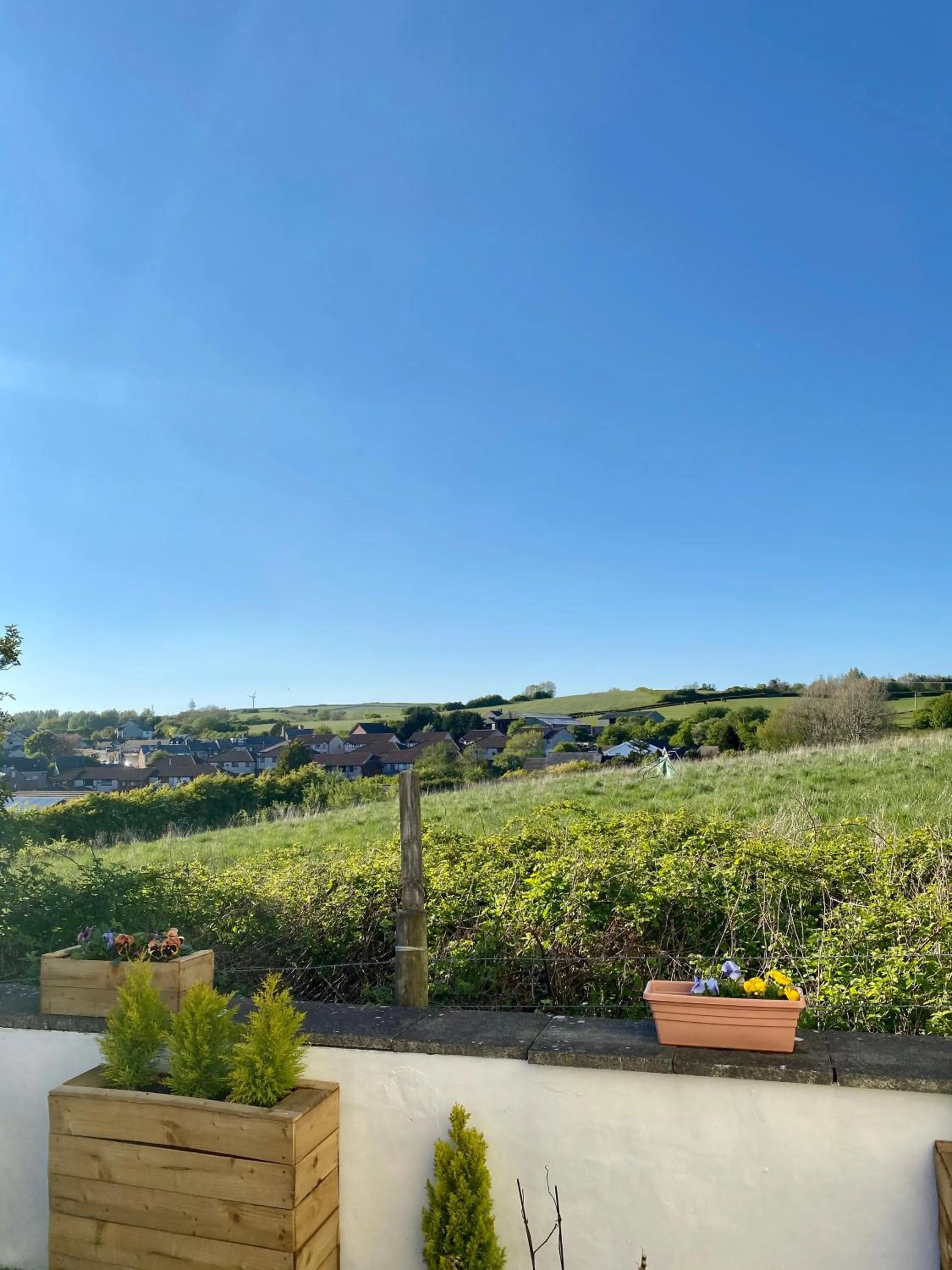 Garden in Number 19 Guesthouse