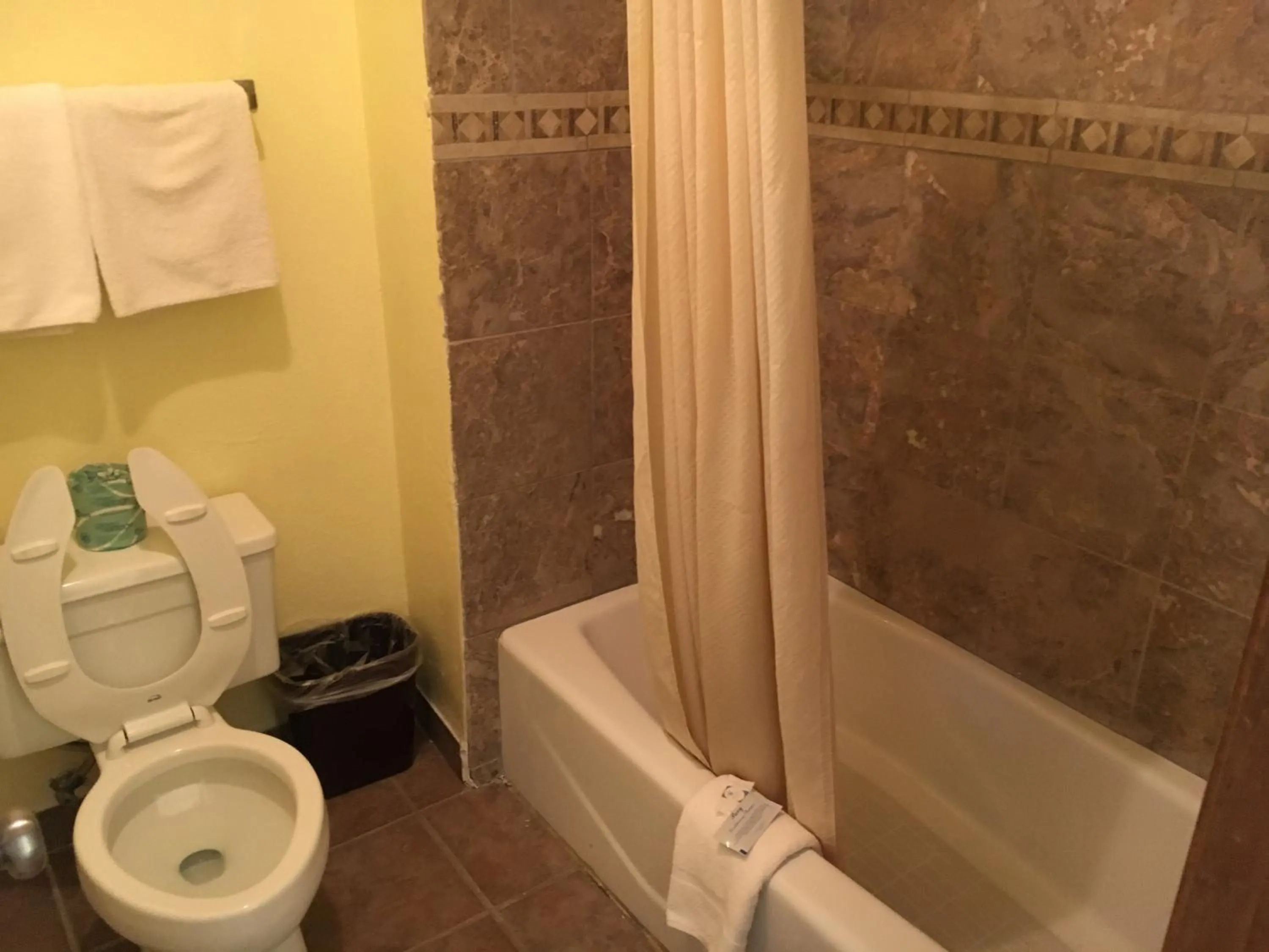 Bathroom in Executive Inn Odessa