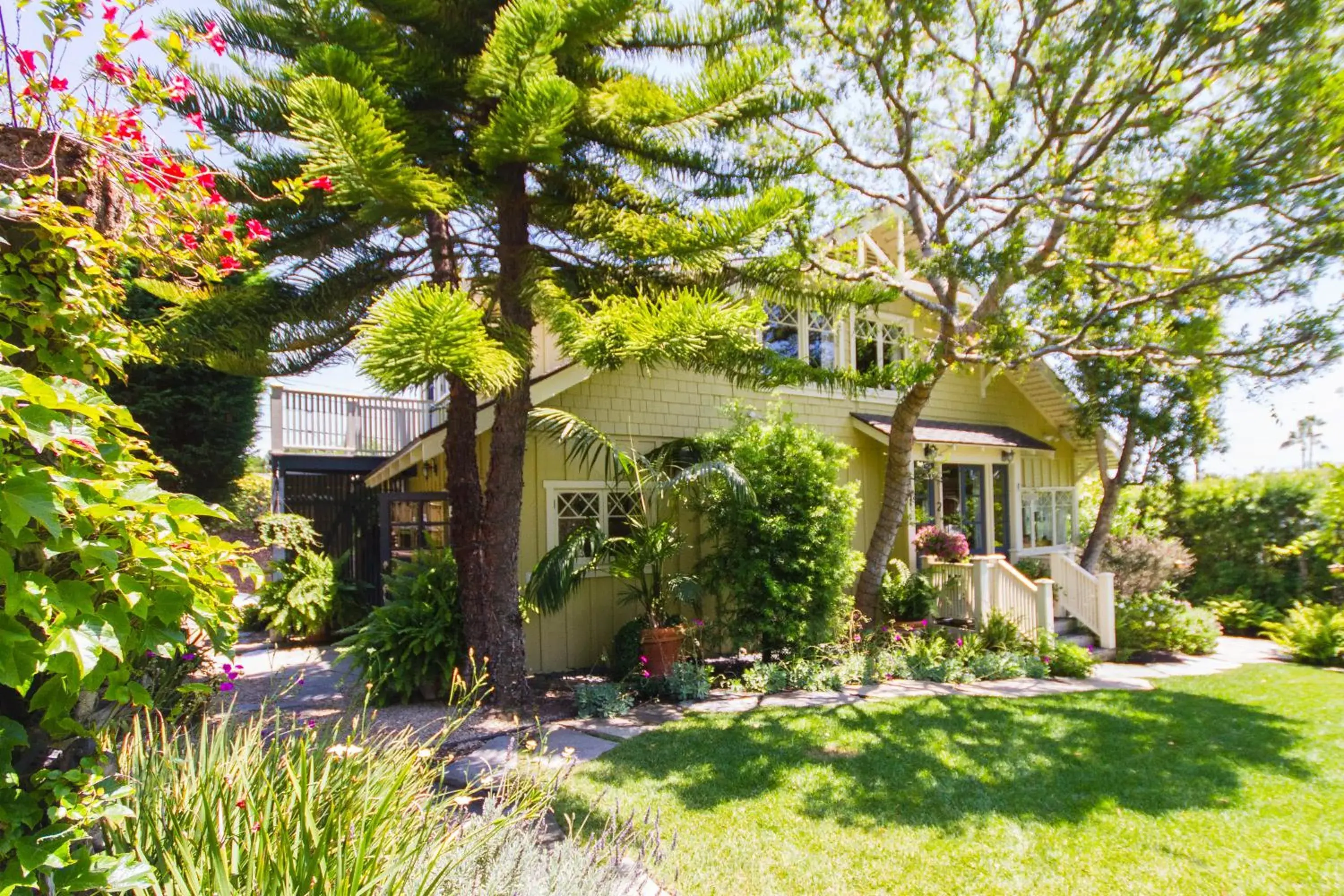 Arabella Laguna Arabella Laguna