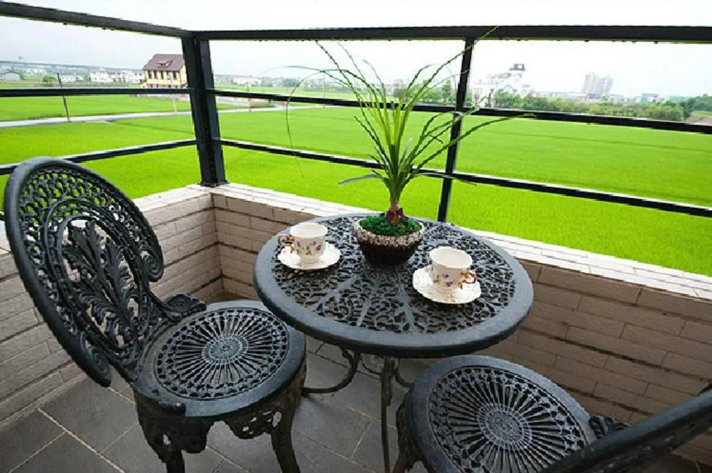 Natural landscape in Rice Countryside