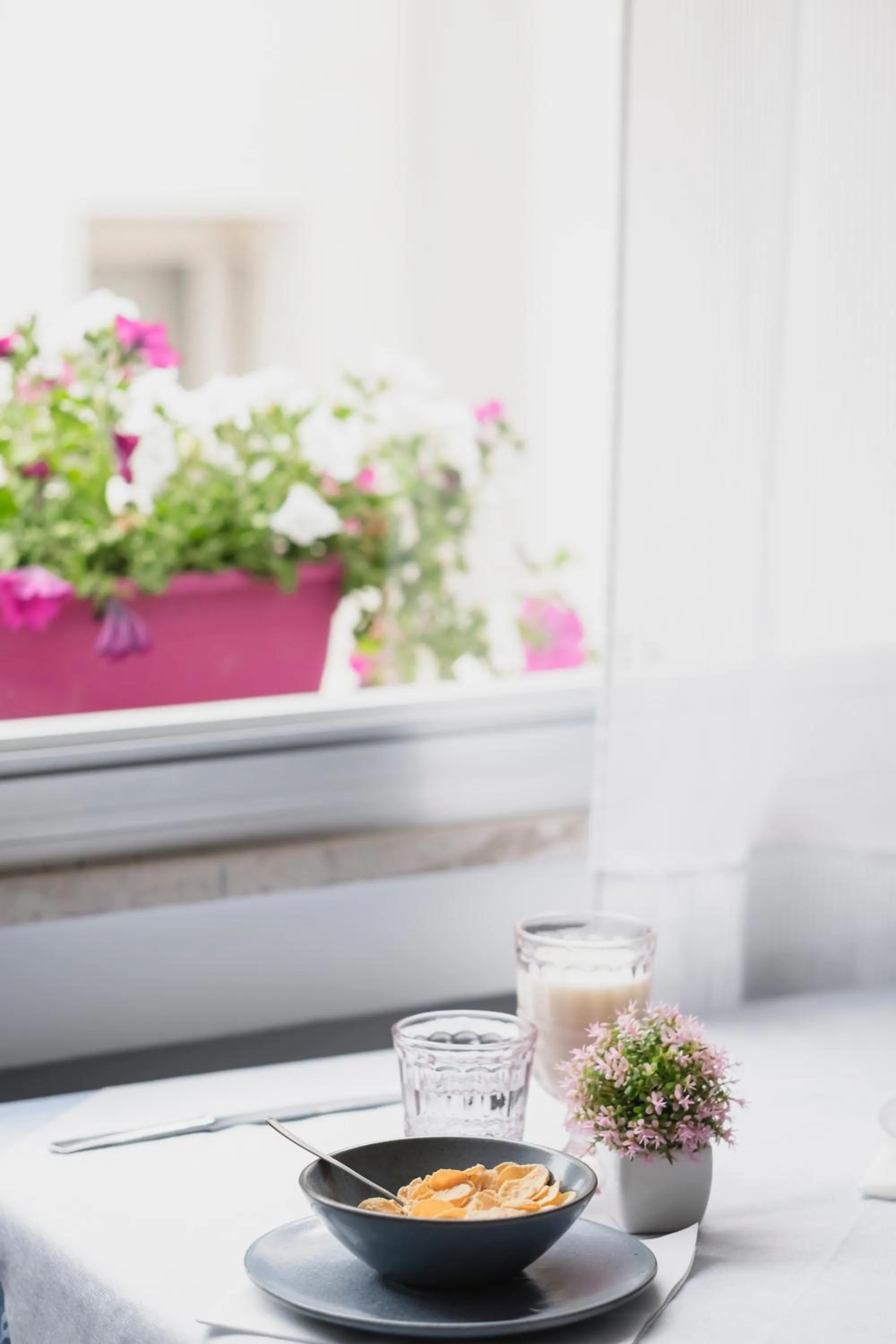 Food and drinks in Hotel Cheri