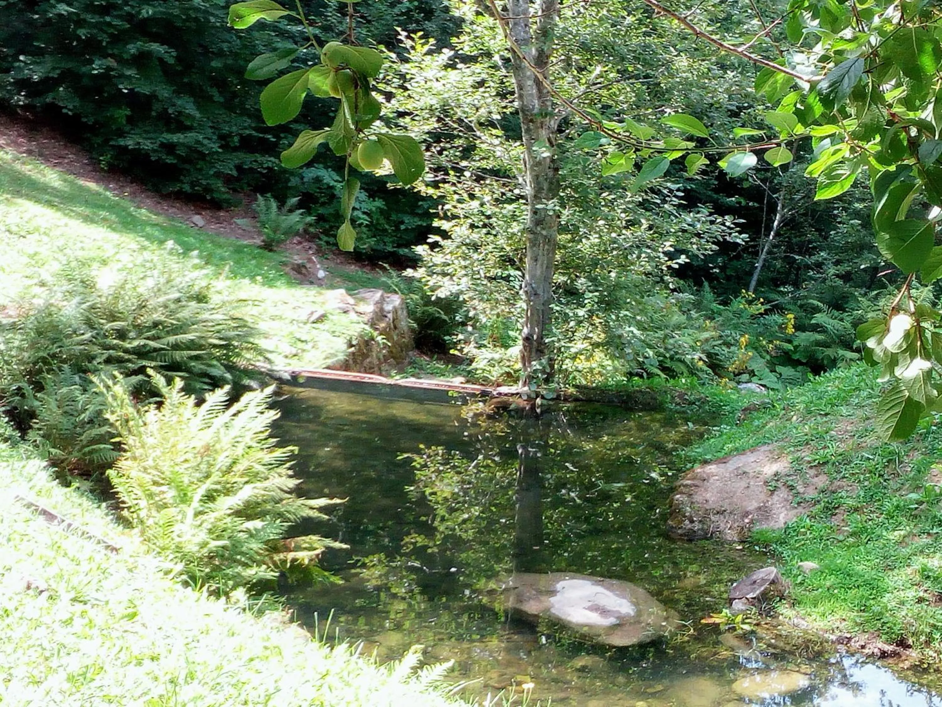 Agriturismo il canale