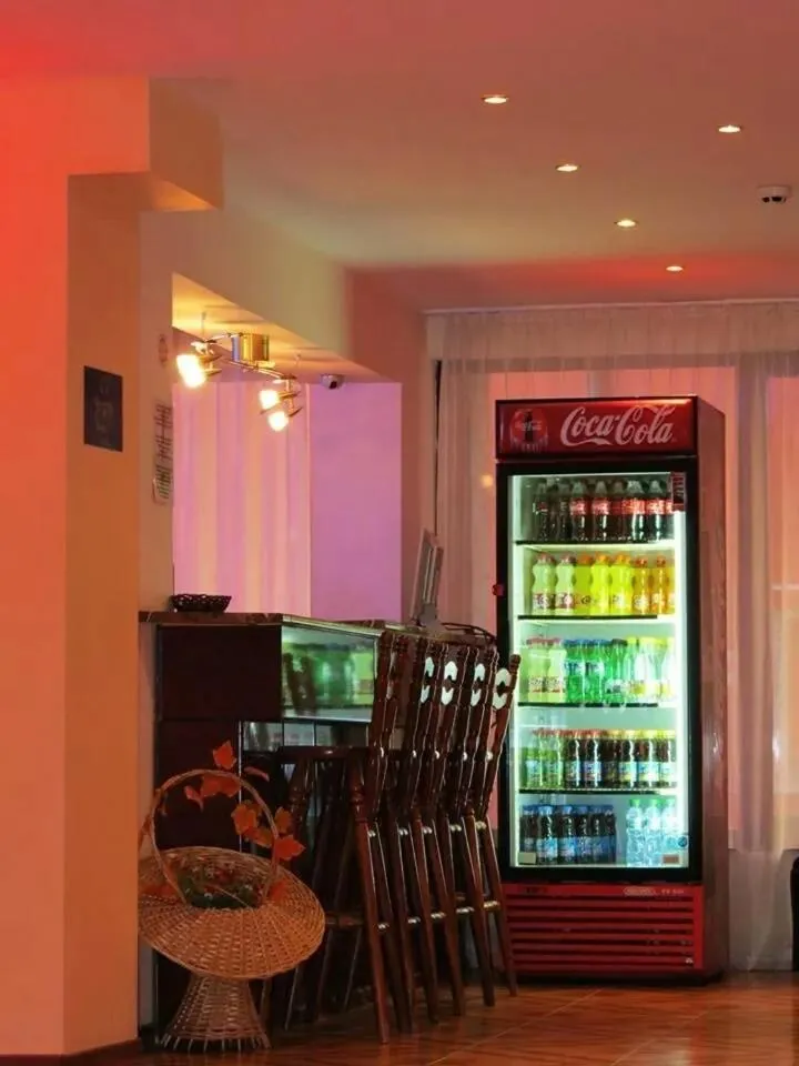 Lounge or bar in Hotel Smolyan
