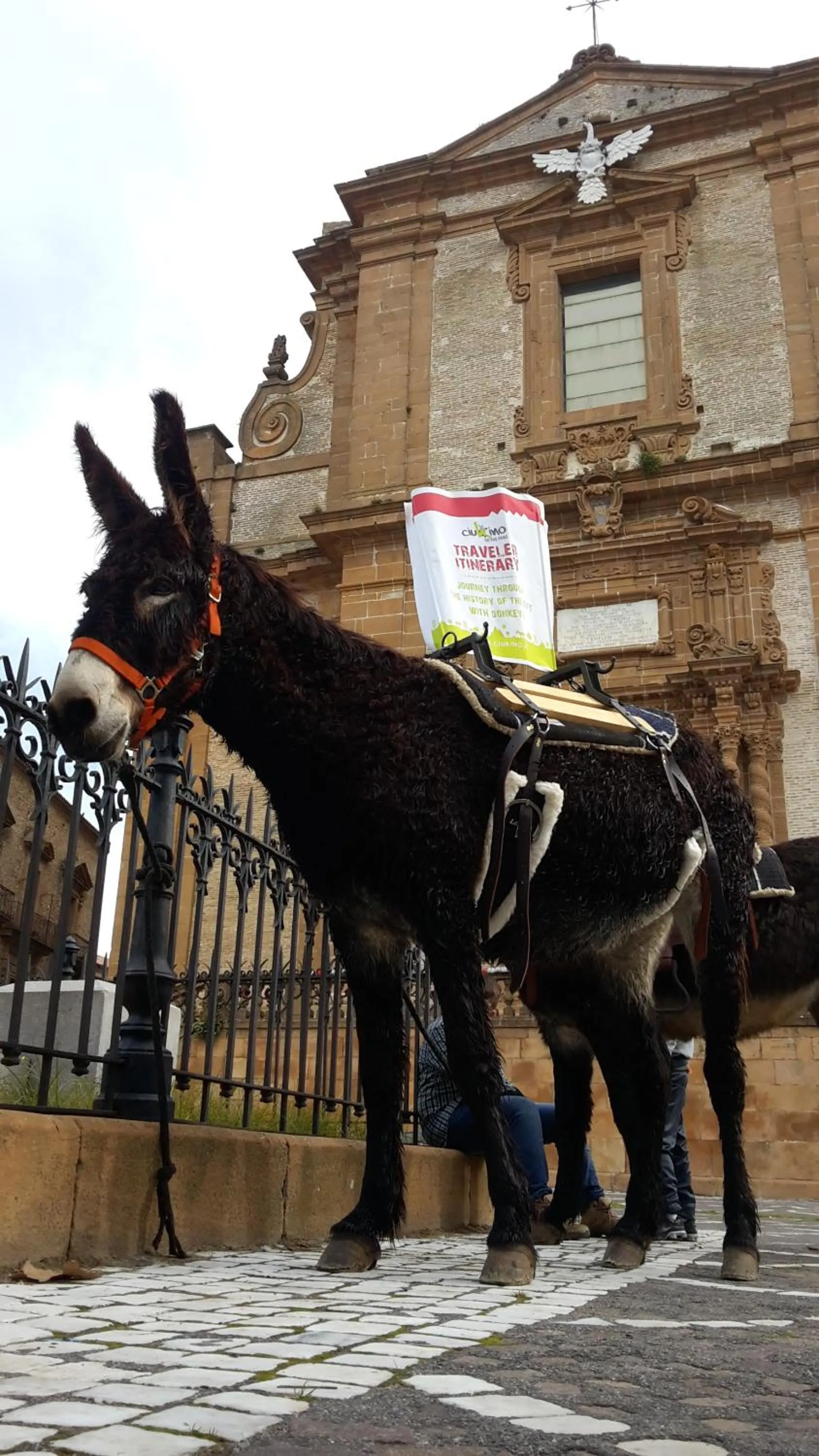 Horse-riding in La Quercia e l'Asino