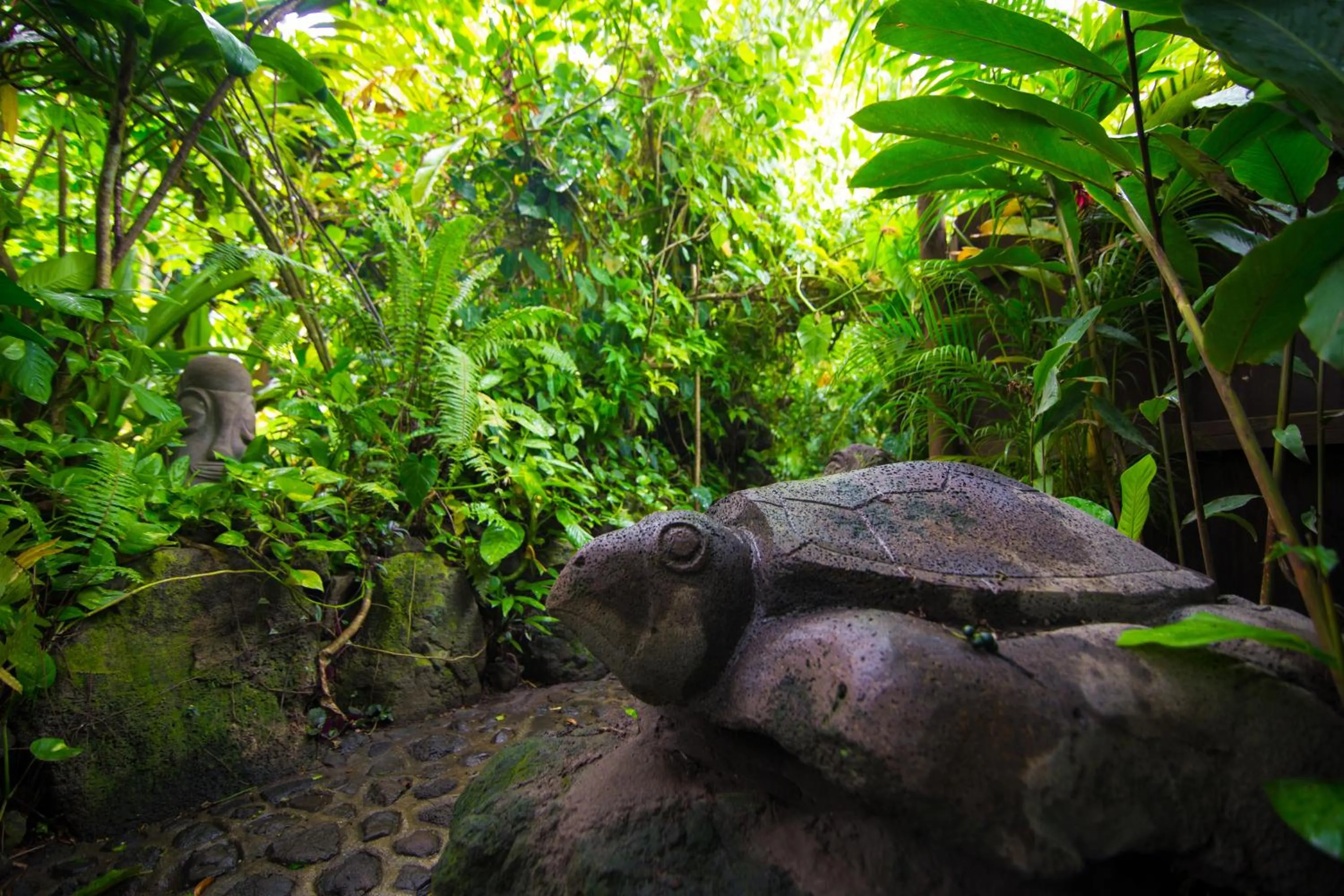 Garden in Rohotu Fare