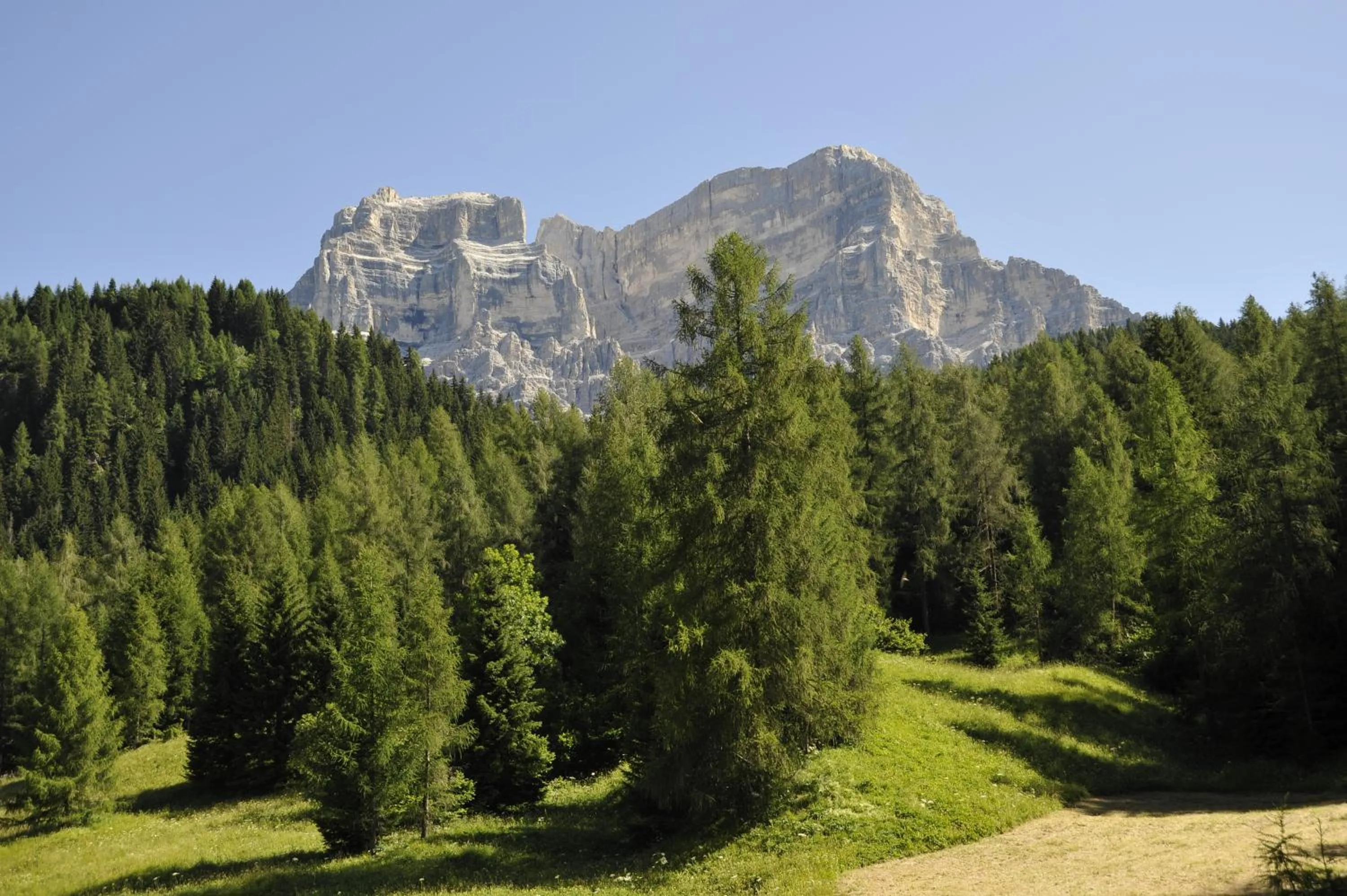Garden in Residence Panorama