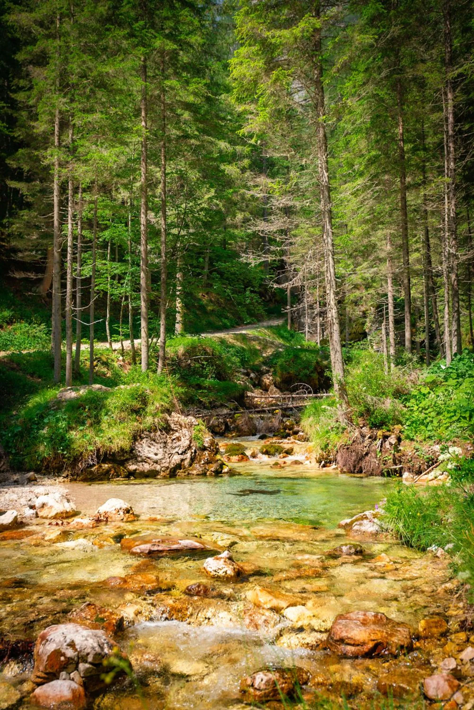 Garden in Residence Panorama