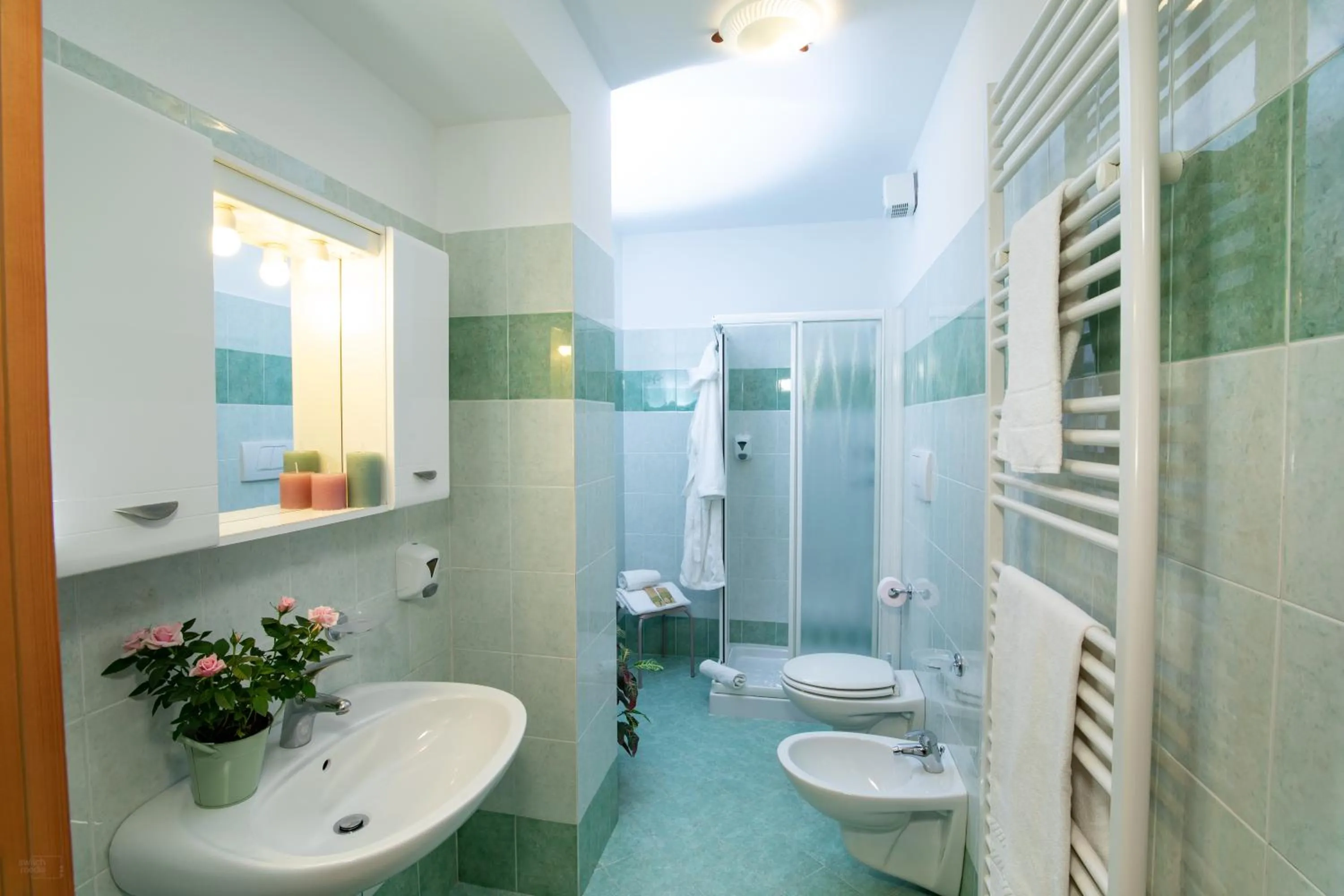 Toilet in Residence Panorama