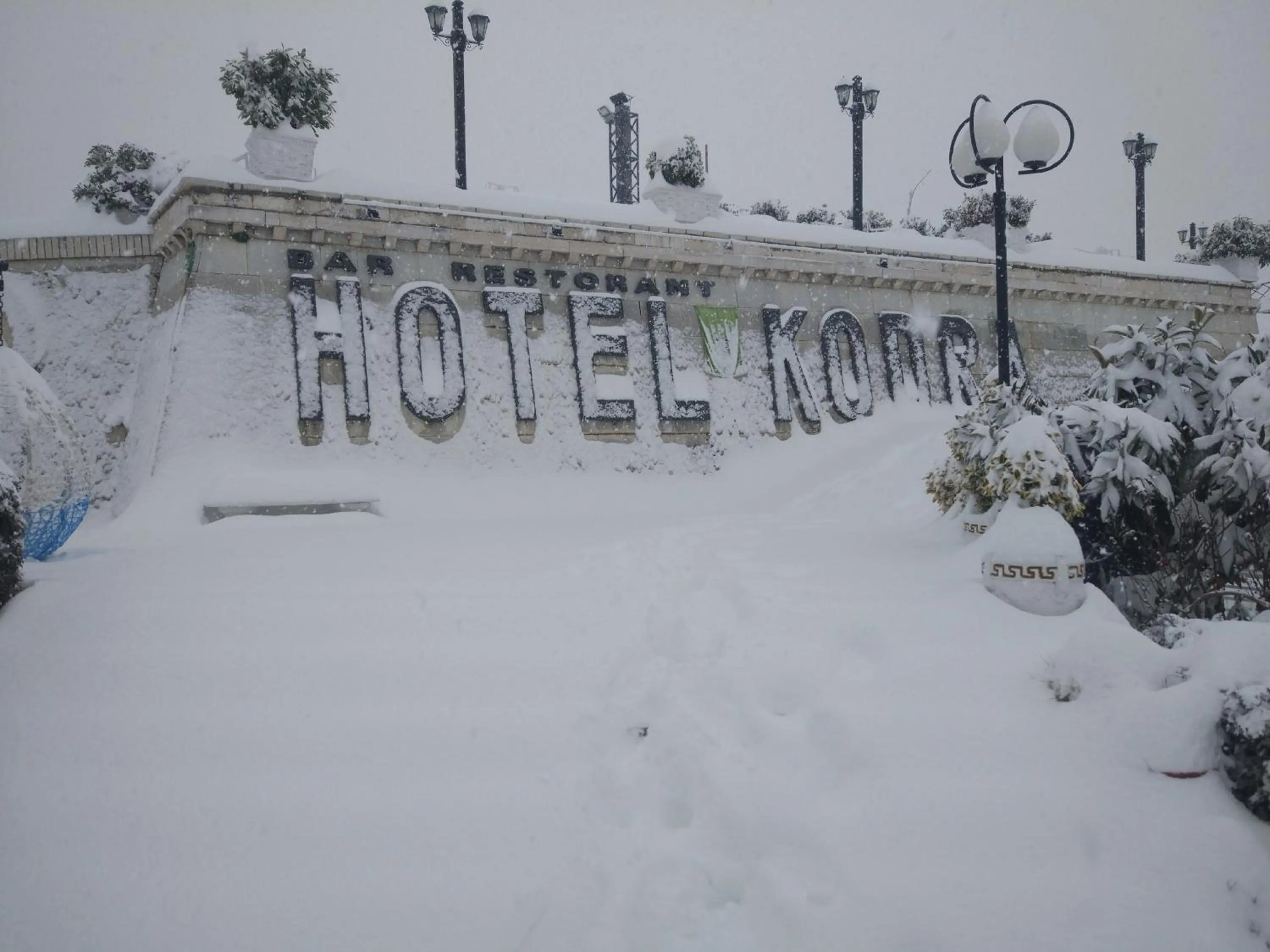 Garden view in Hotel Kodra