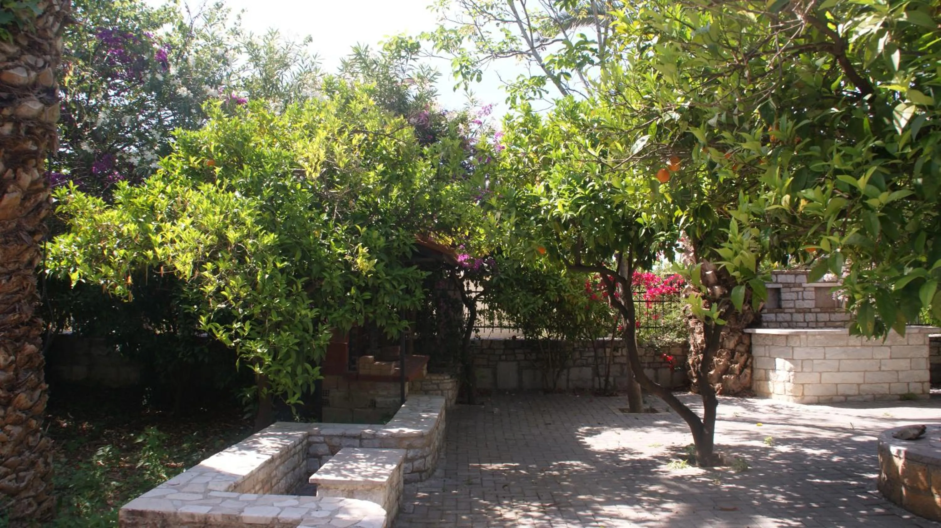 Garden in Villa Christina