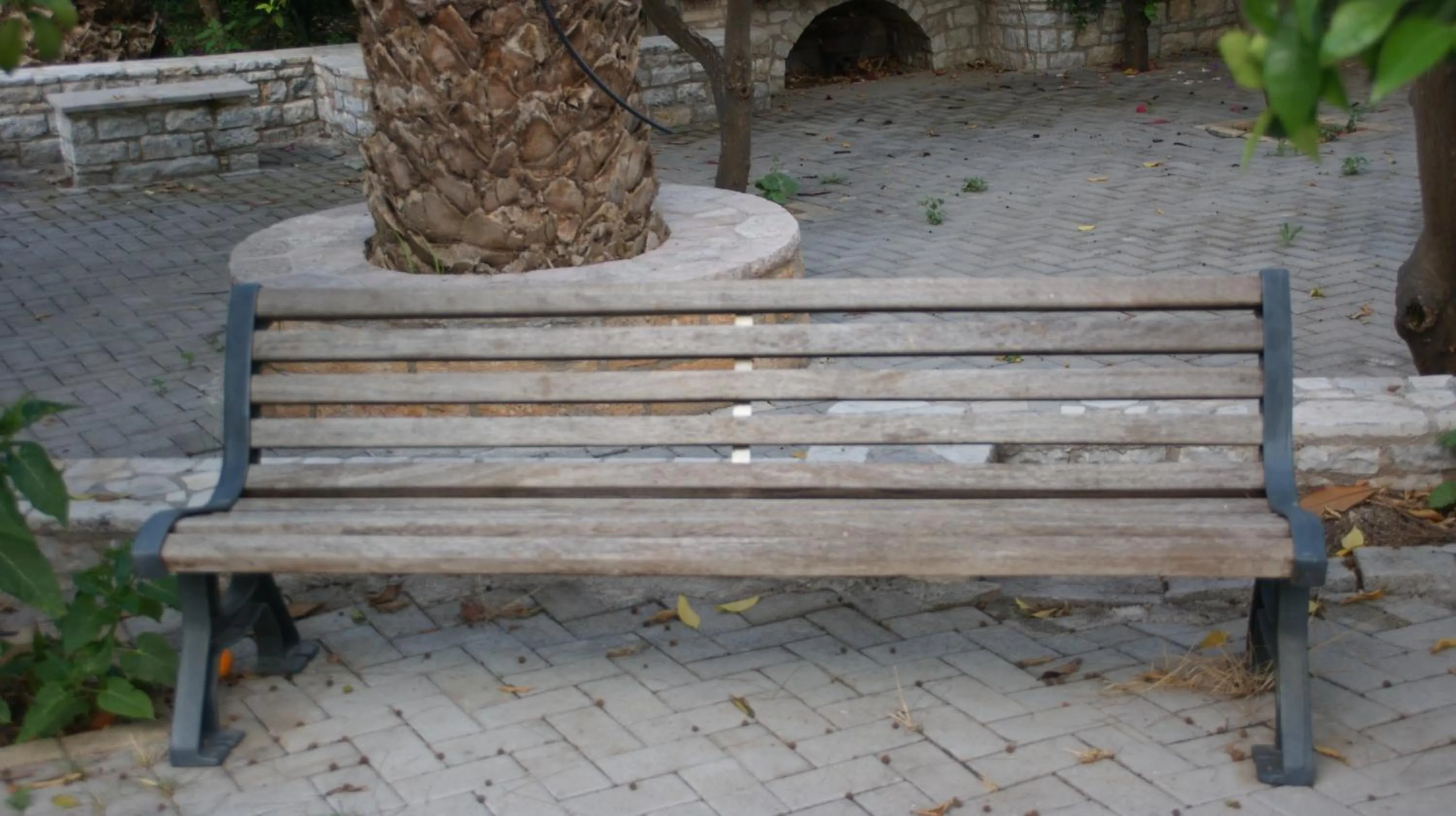 Garden in Villa Christina