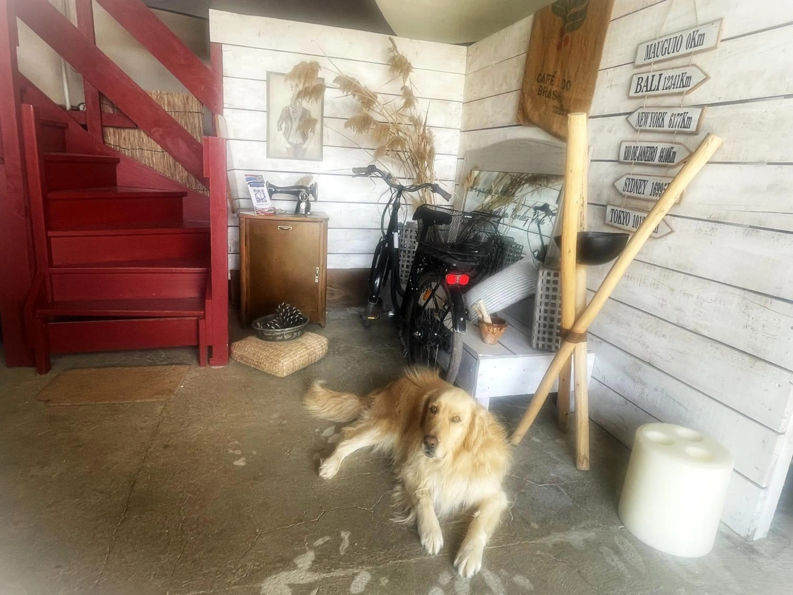 Le Mazet Chambre d'Hôtes