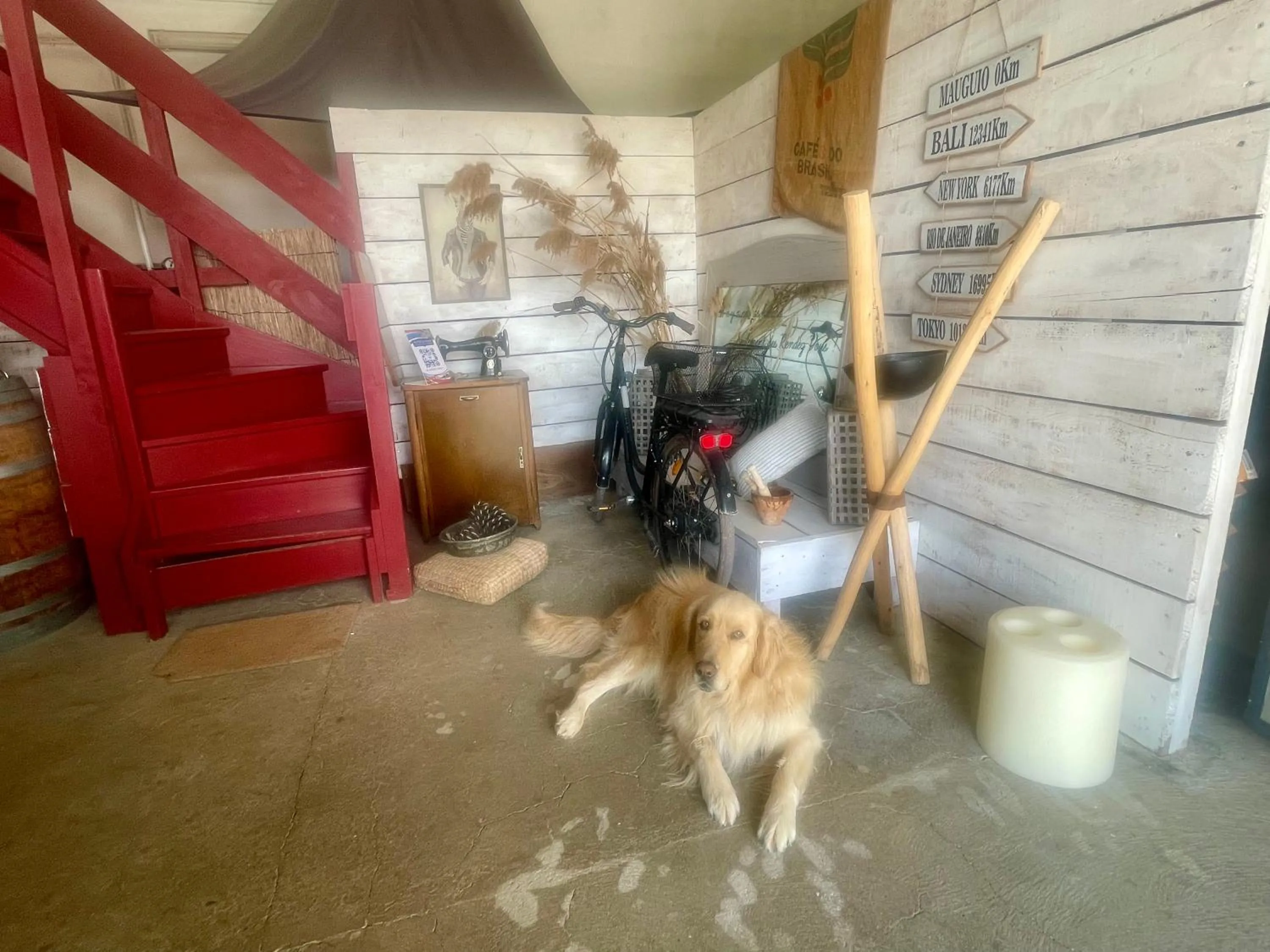 Pets in Le Mazet Chambre d'Hôtes