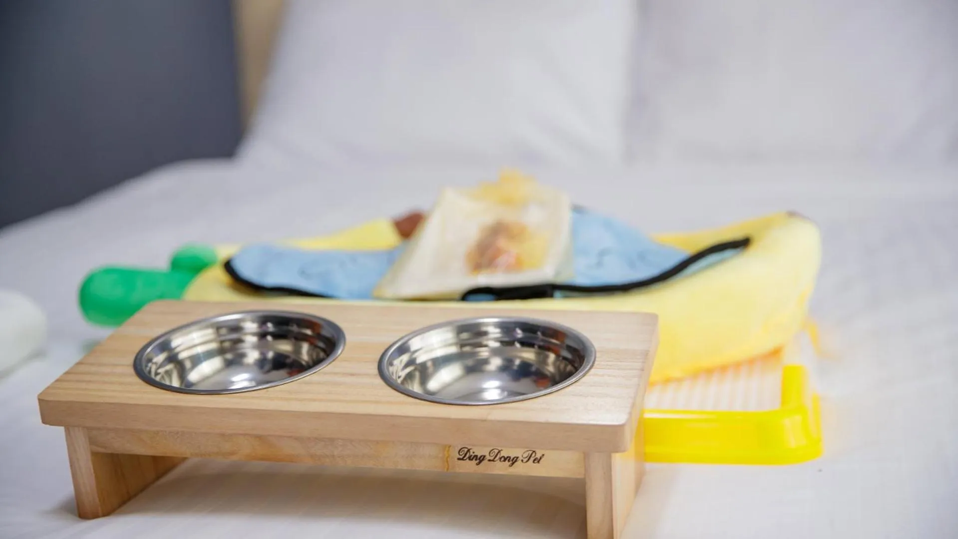 Animals in Jeju EQ Stay Hotel