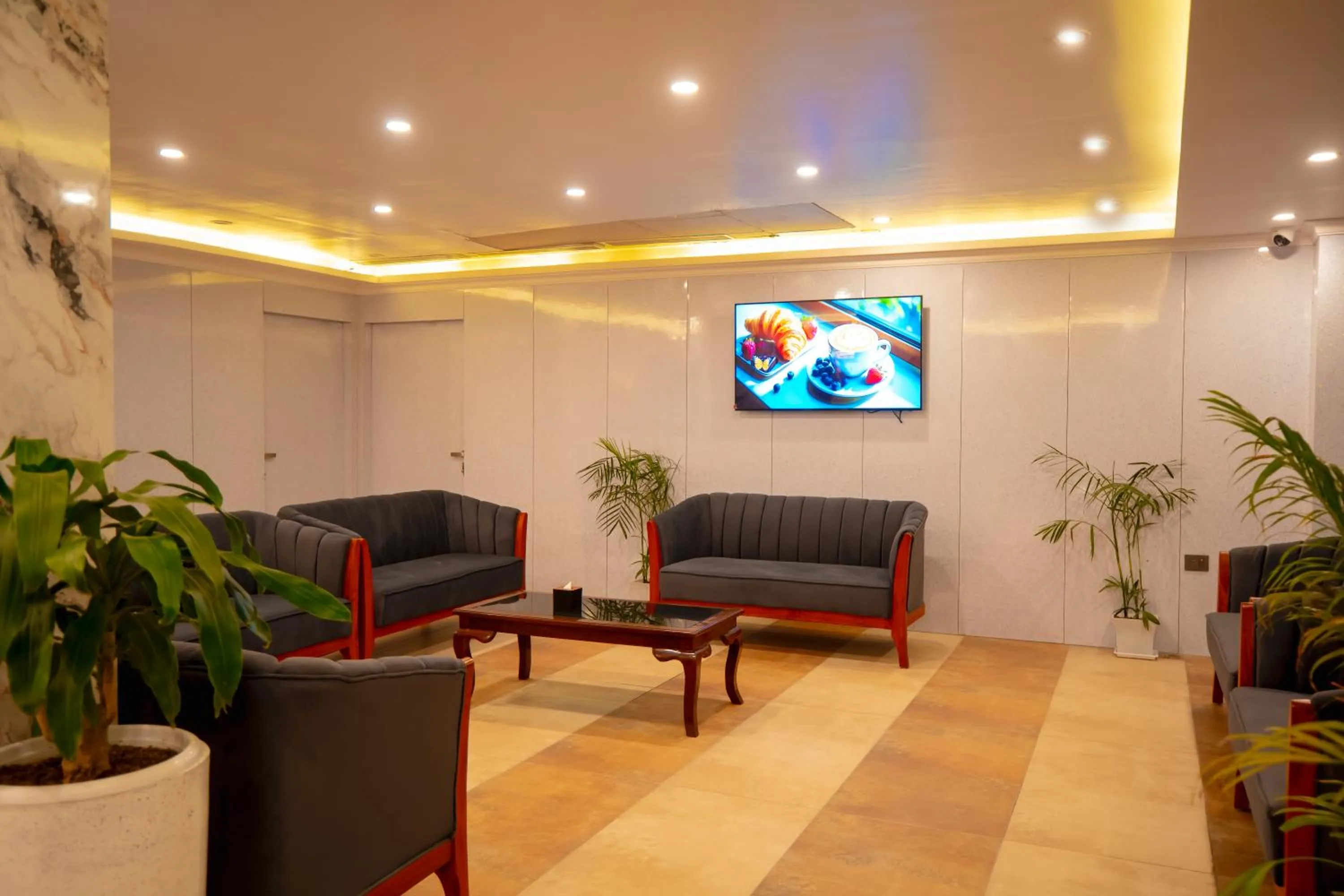 TV and multimedia in Velvet Luxe Hotel