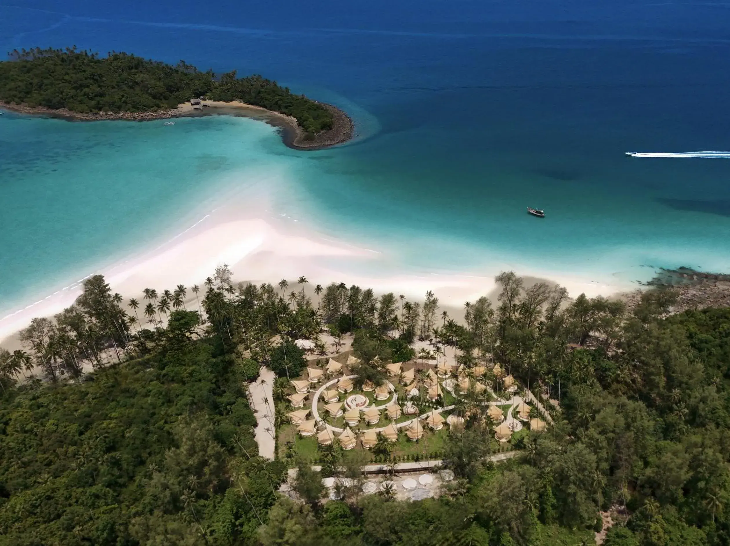 The Survival by Seudam The Survival by Seudam