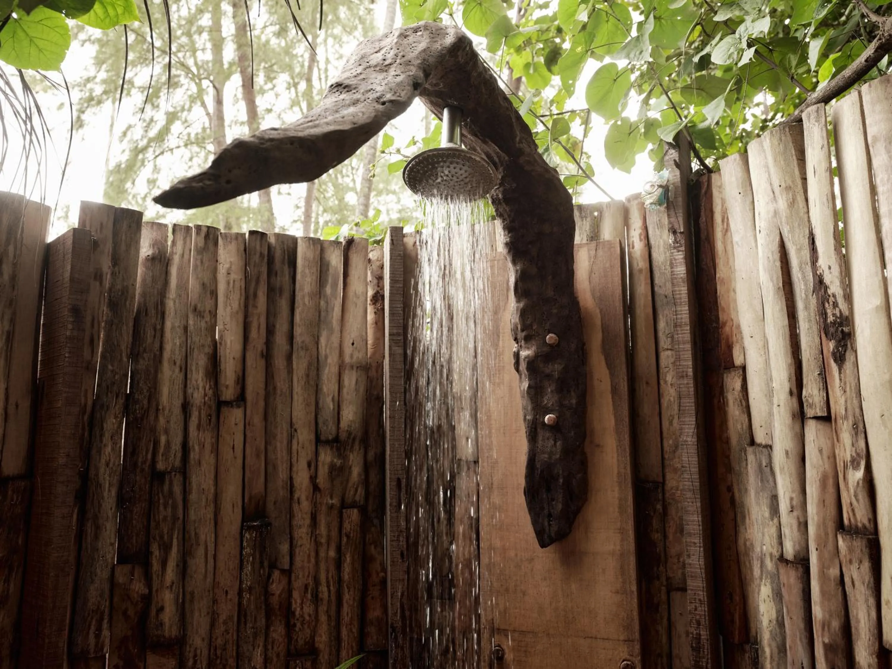 The Survival by Seudam