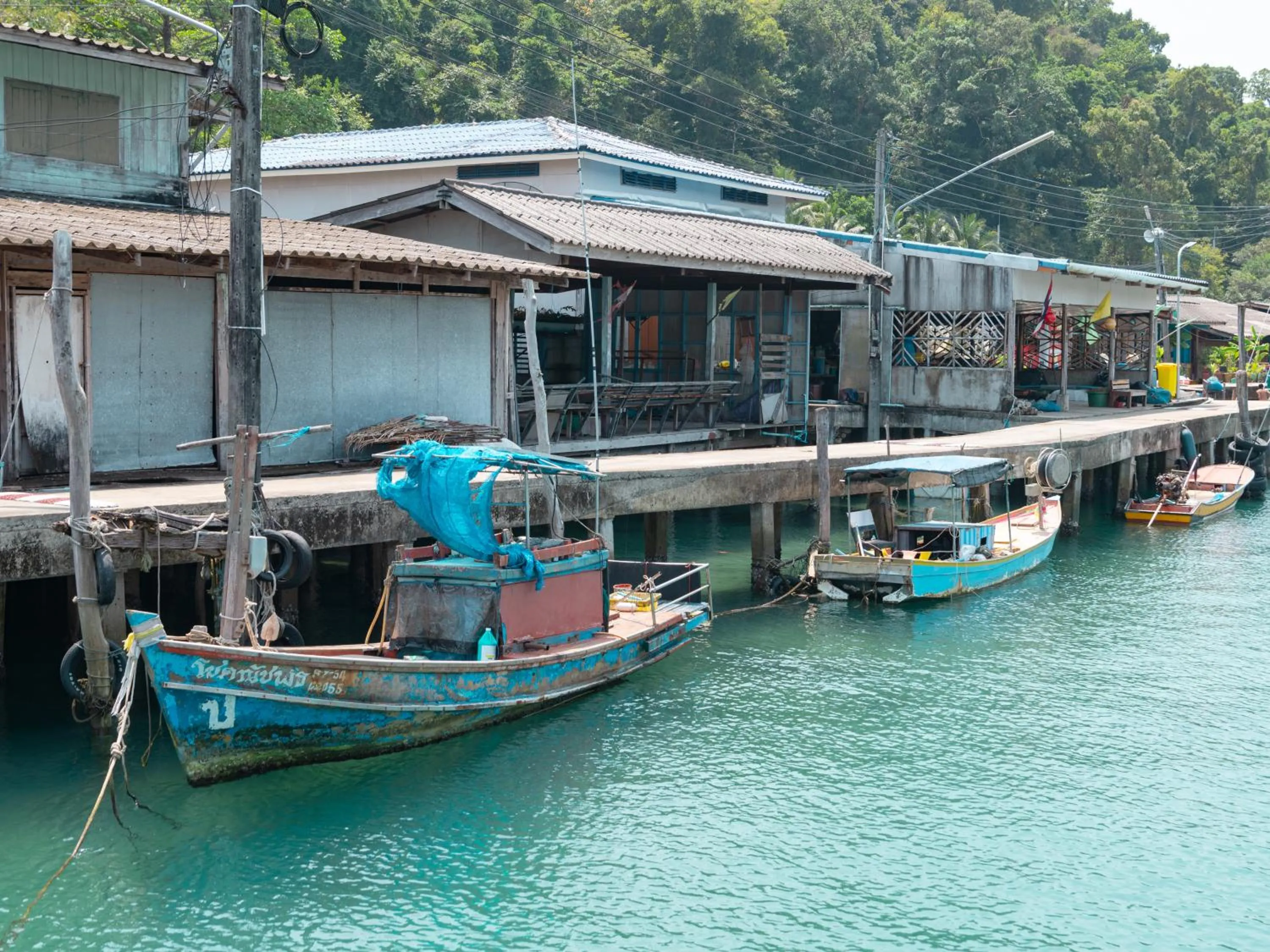 The Survival by Seudam