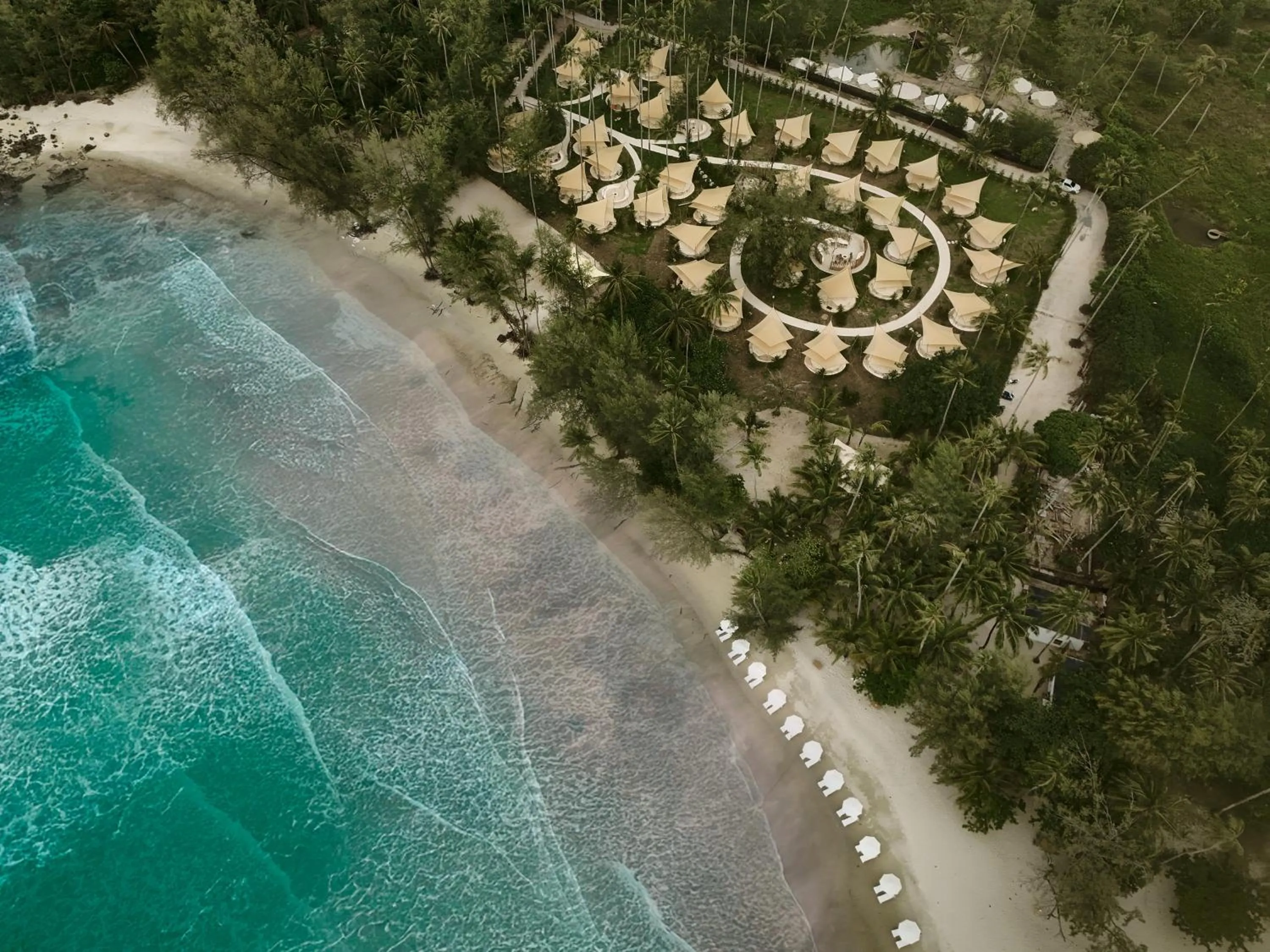 The Survival by Seudam