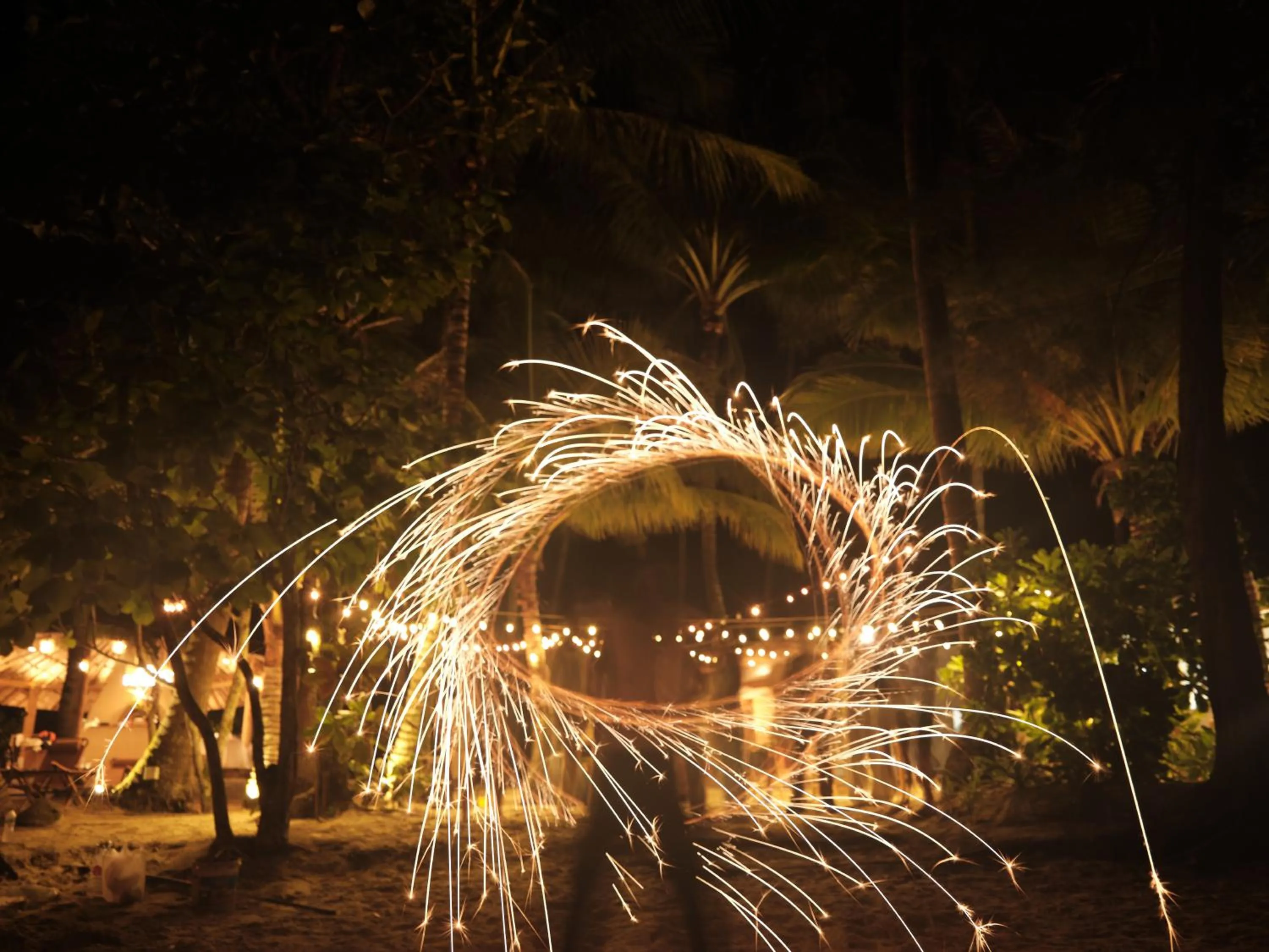 The Survival by Seudam