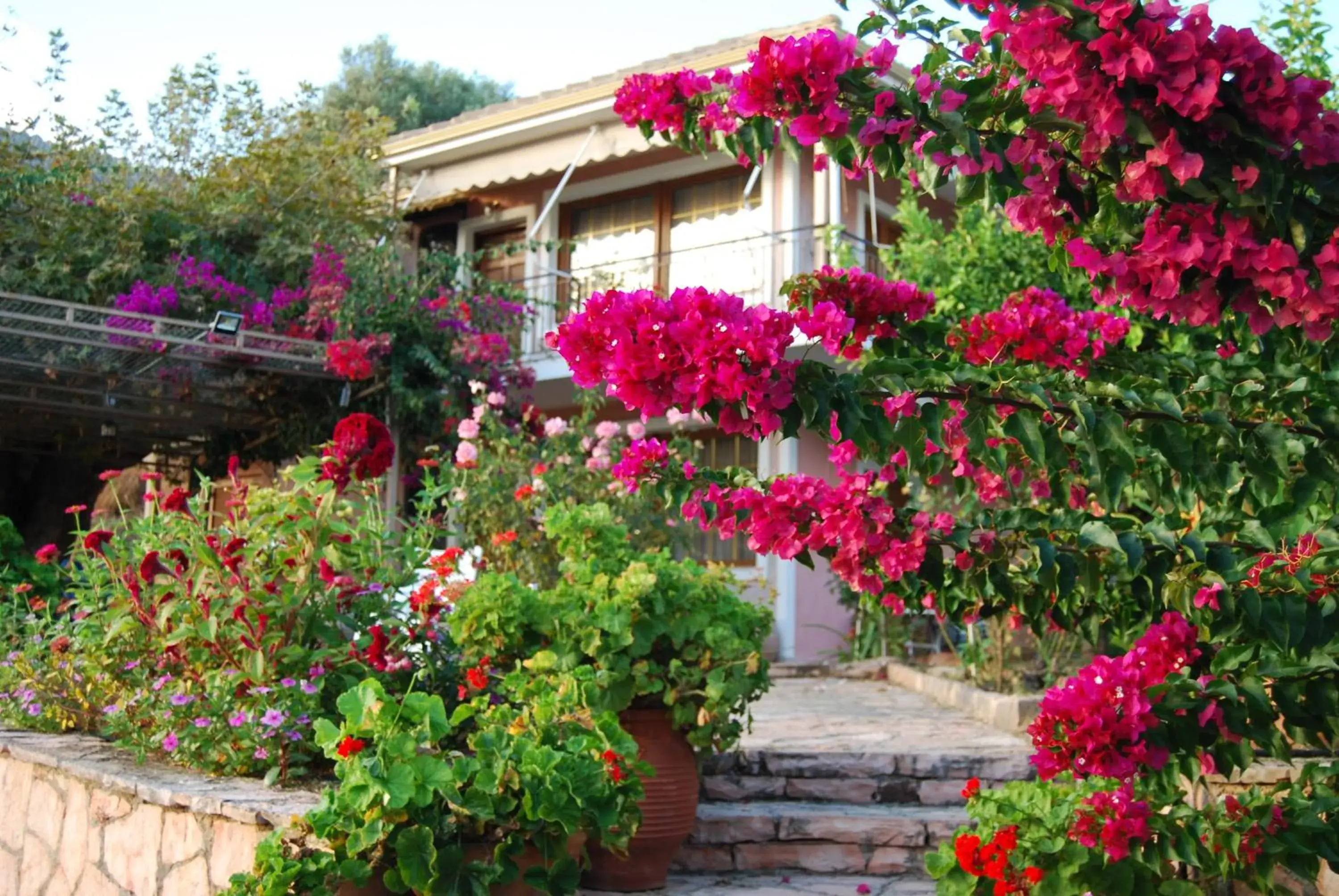 Villa Niki Villa Niki