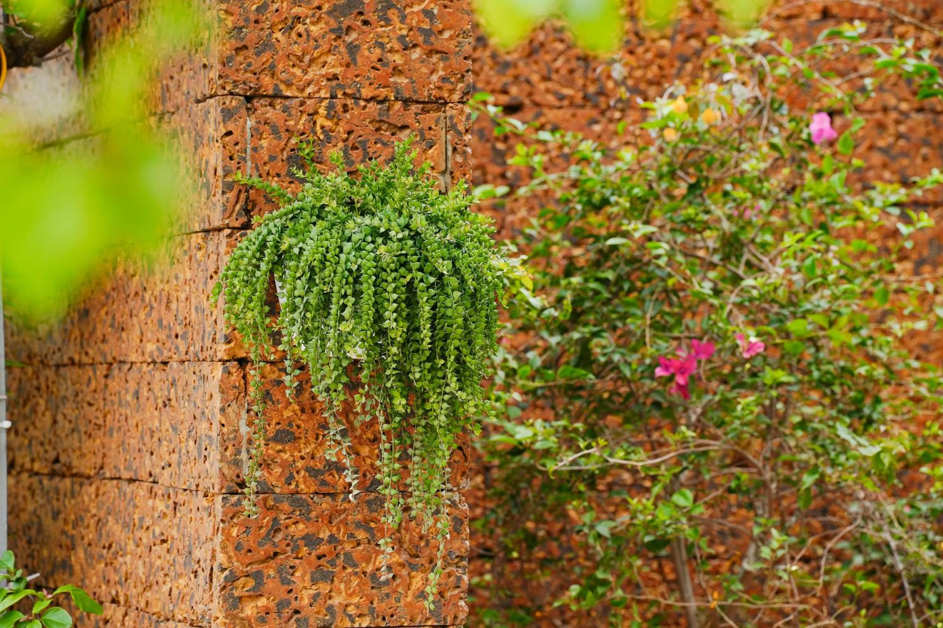 Property building in Serena Tam Coc Hotel & Villa