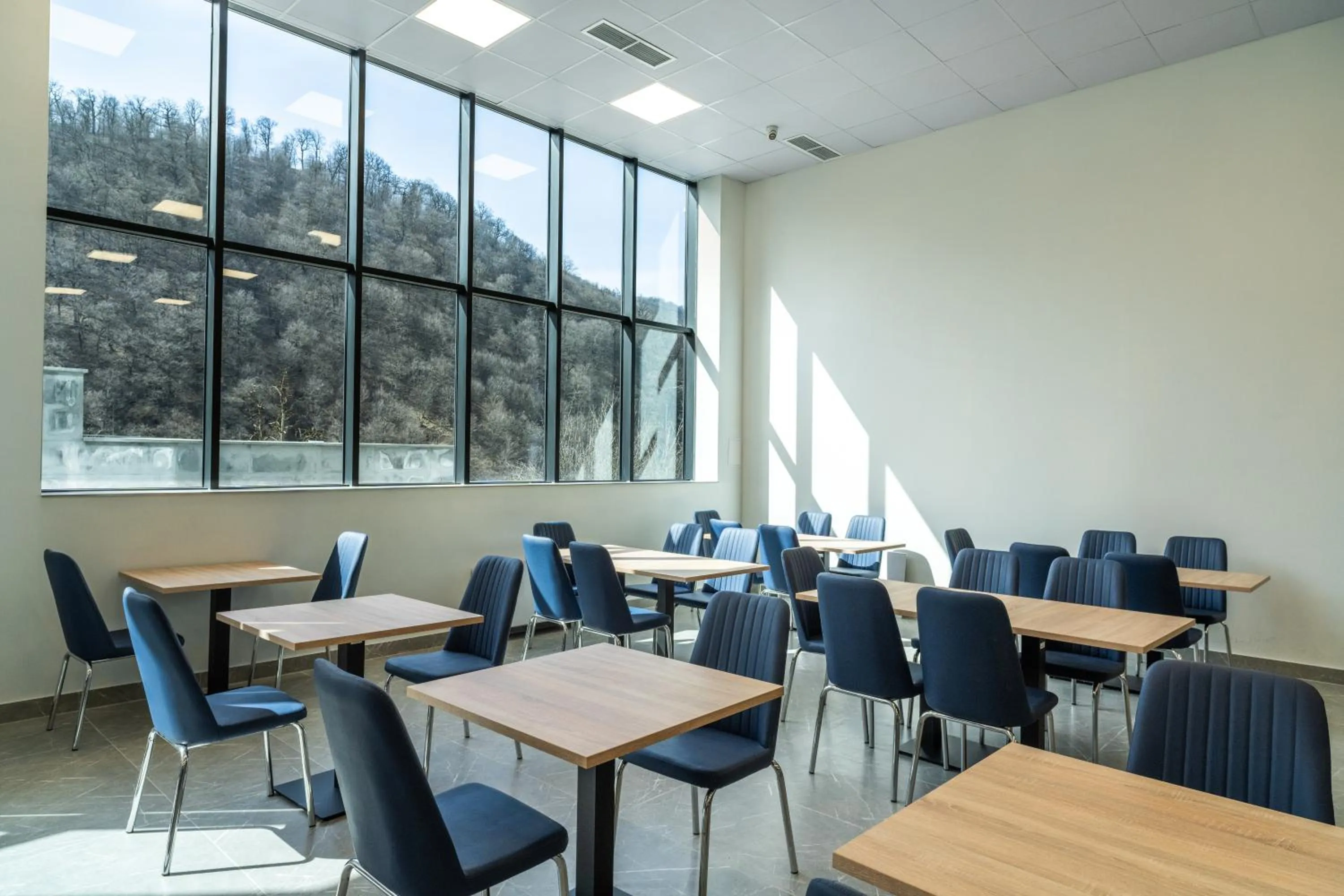 Restaurant/places to eat in Ani Forest Hills Hotel and Resort, Dilijan