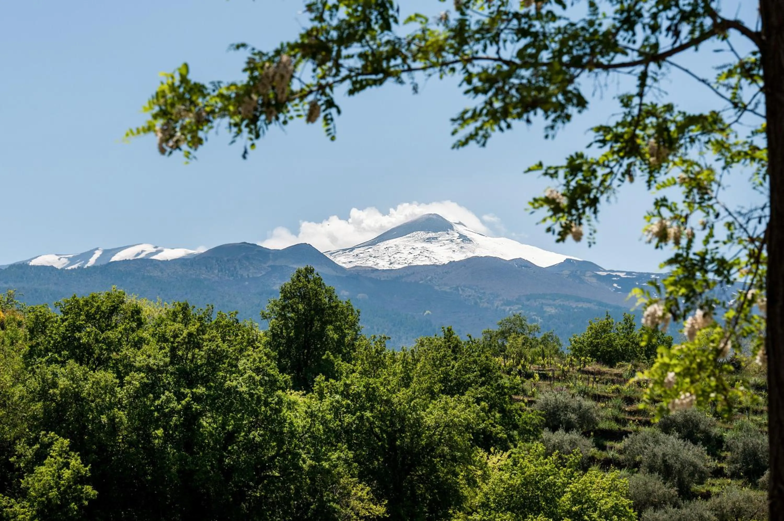 View (from property/room) in Firriato Hospitality Cavanera Etnea Resort & Wine Experience