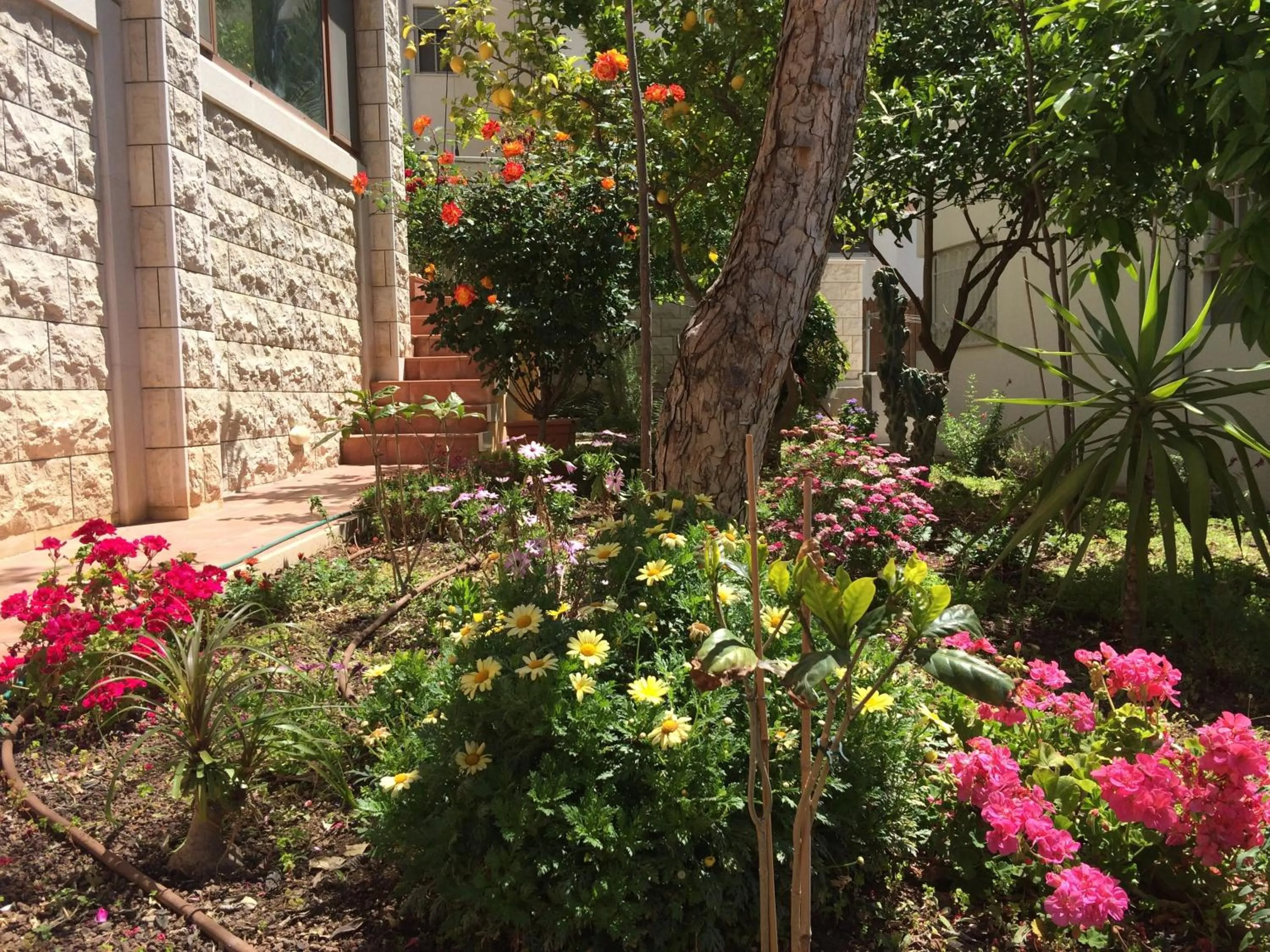 Garden in Miriam Short Term Rental