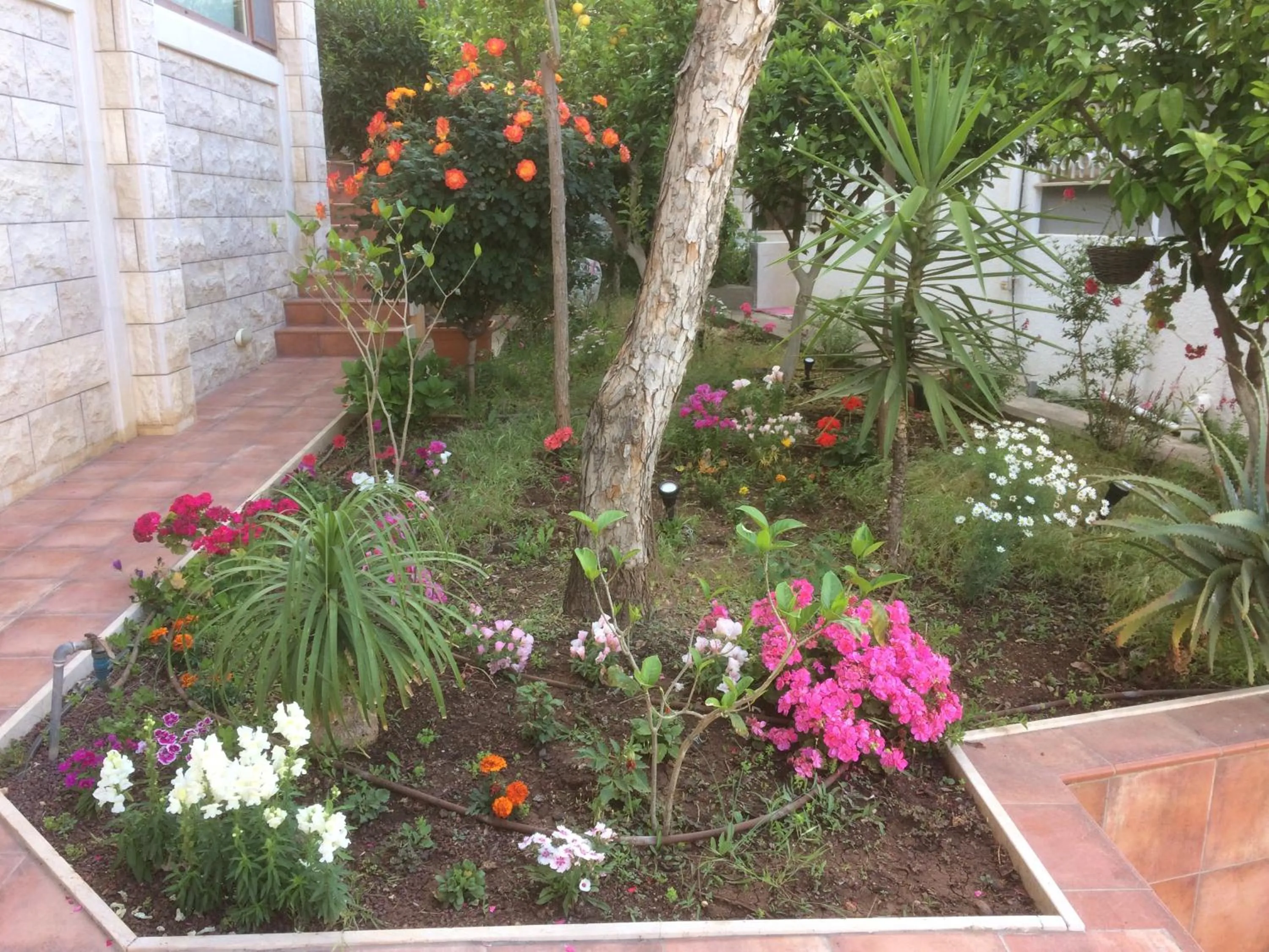 Facade/entrance in Miriam Short Term Rental