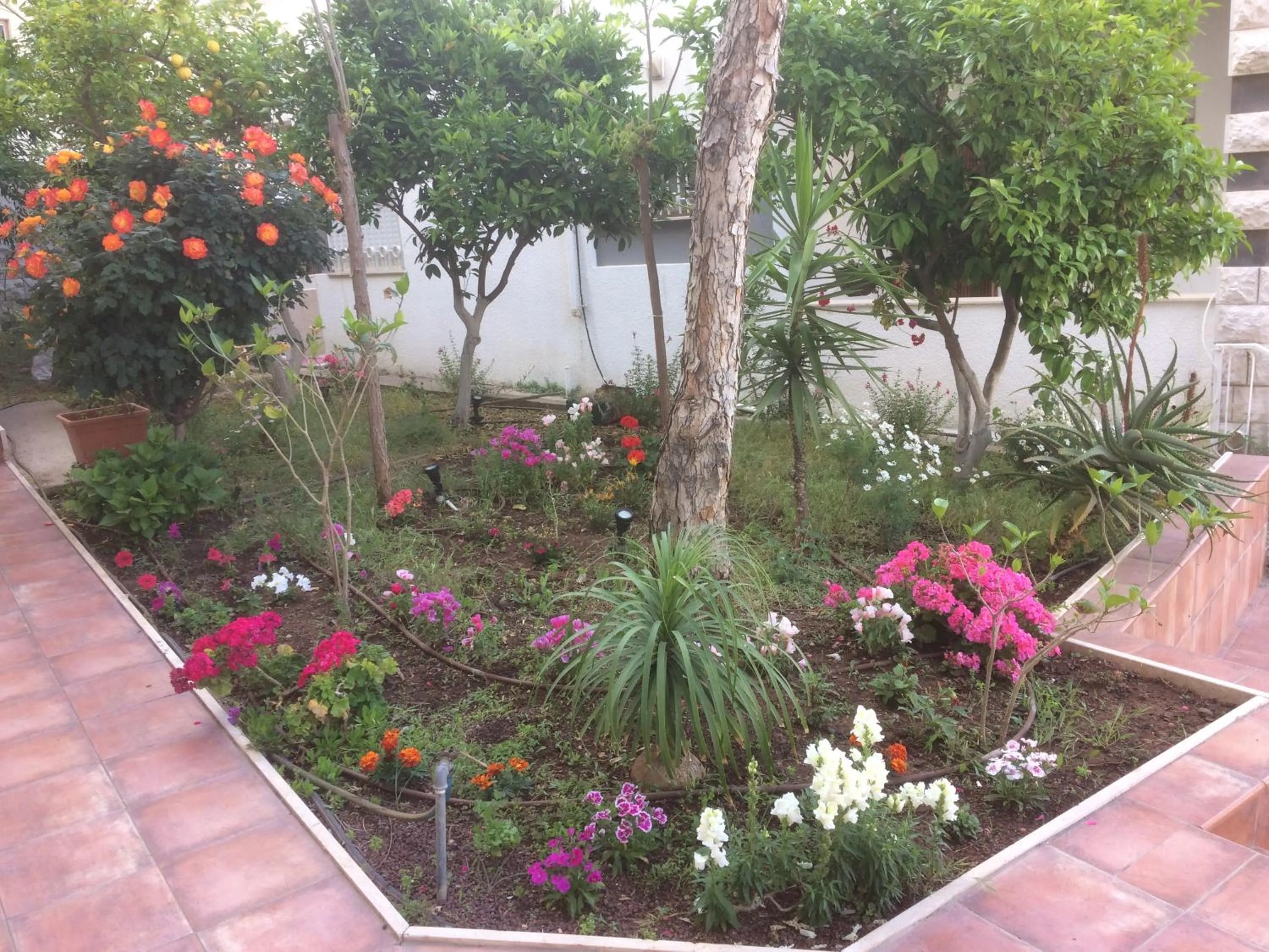 Facade/entrance in Miriam Short Term Rental