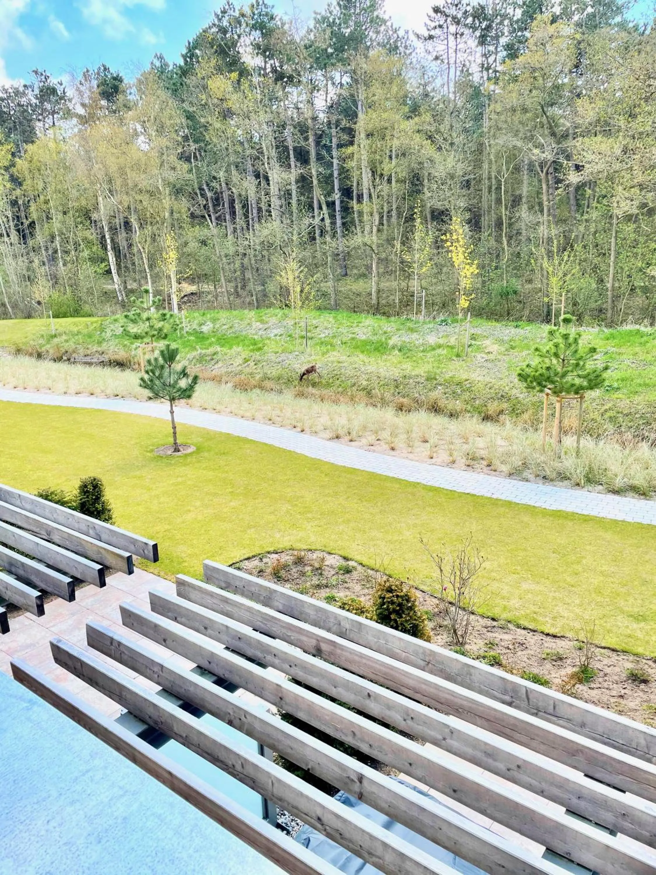 View (from property/room) in Villa Wattfuss
