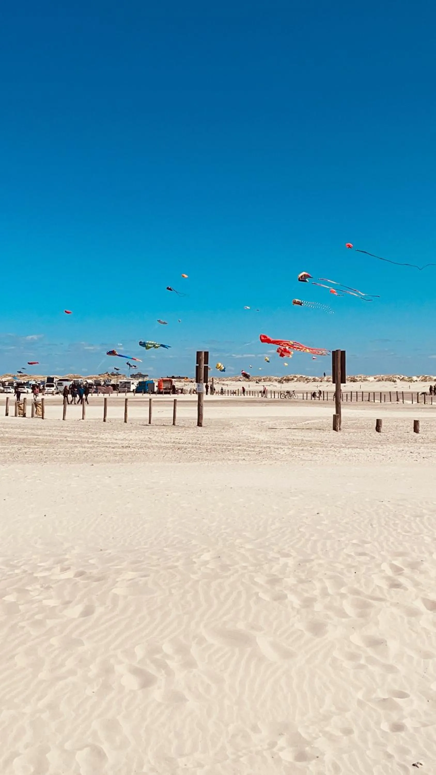 Beach in Villa Wattfuss