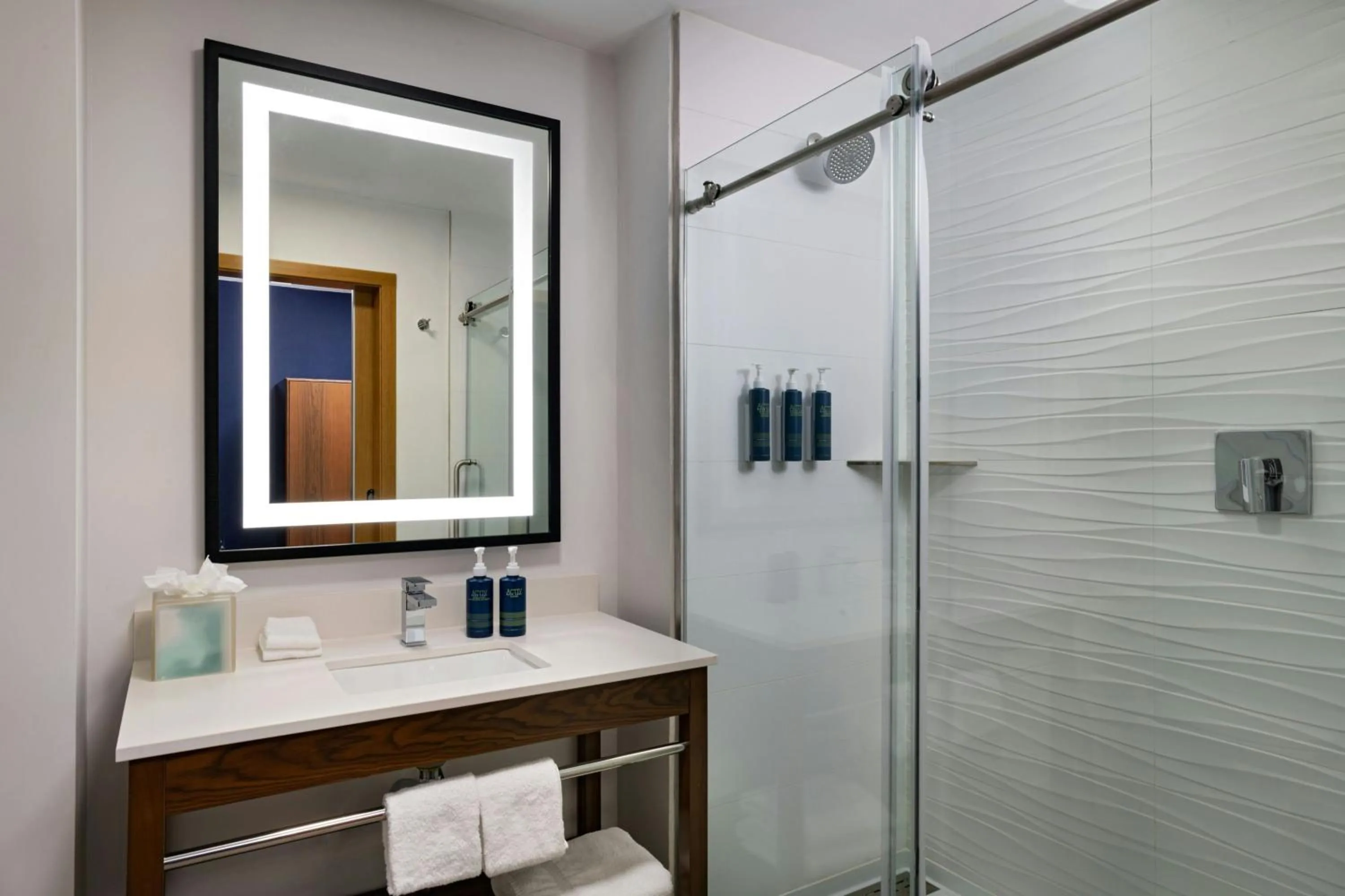 Bathroom in Four Points by Sheraton Austin Airport