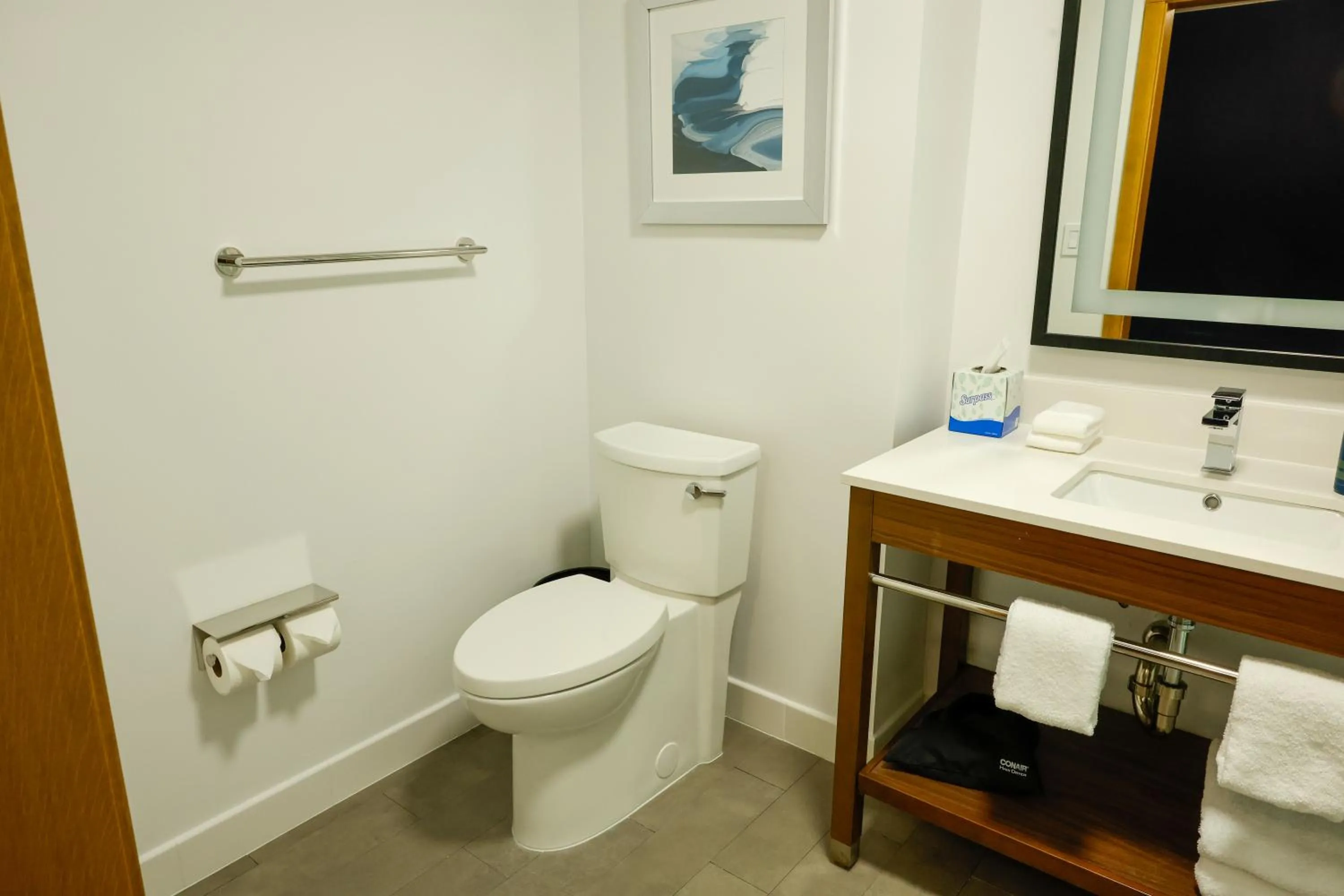 Toilet in Four Points by Sheraton Austin Airport