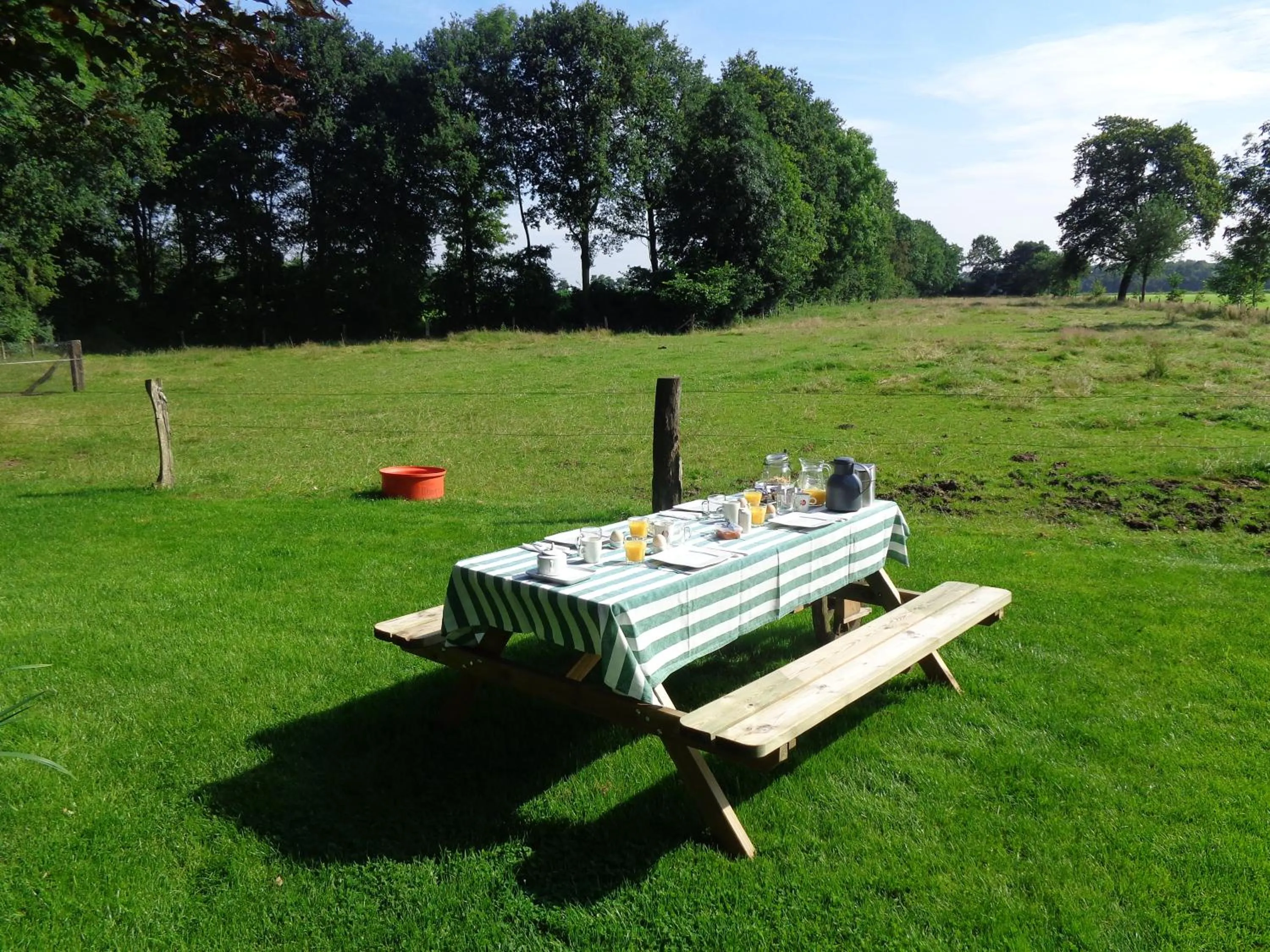 Garden in Thil's Bed and Breakfast