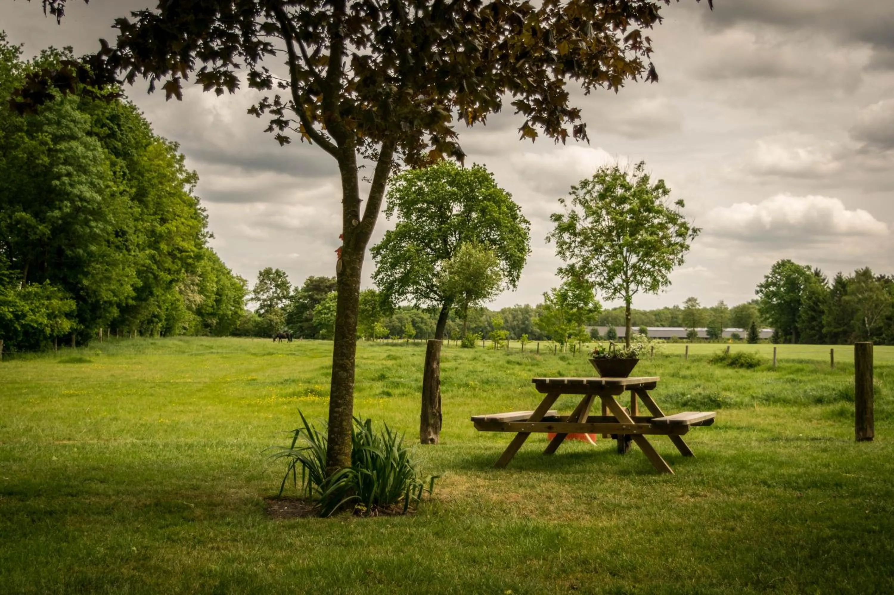 Garden in Thil's Bed and Breakfast