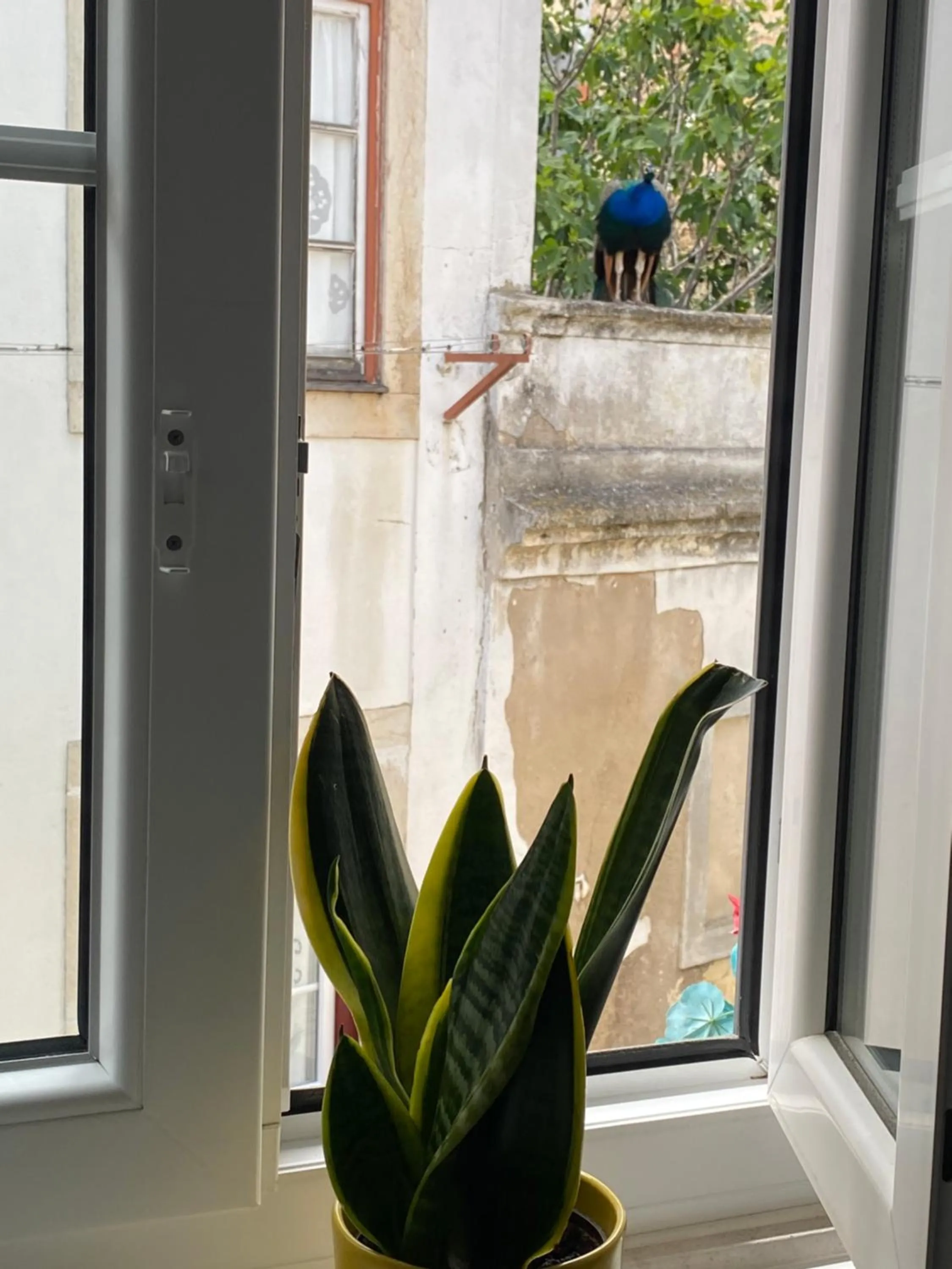 View (from property/room) in Castle Inn Lisbon Apartments