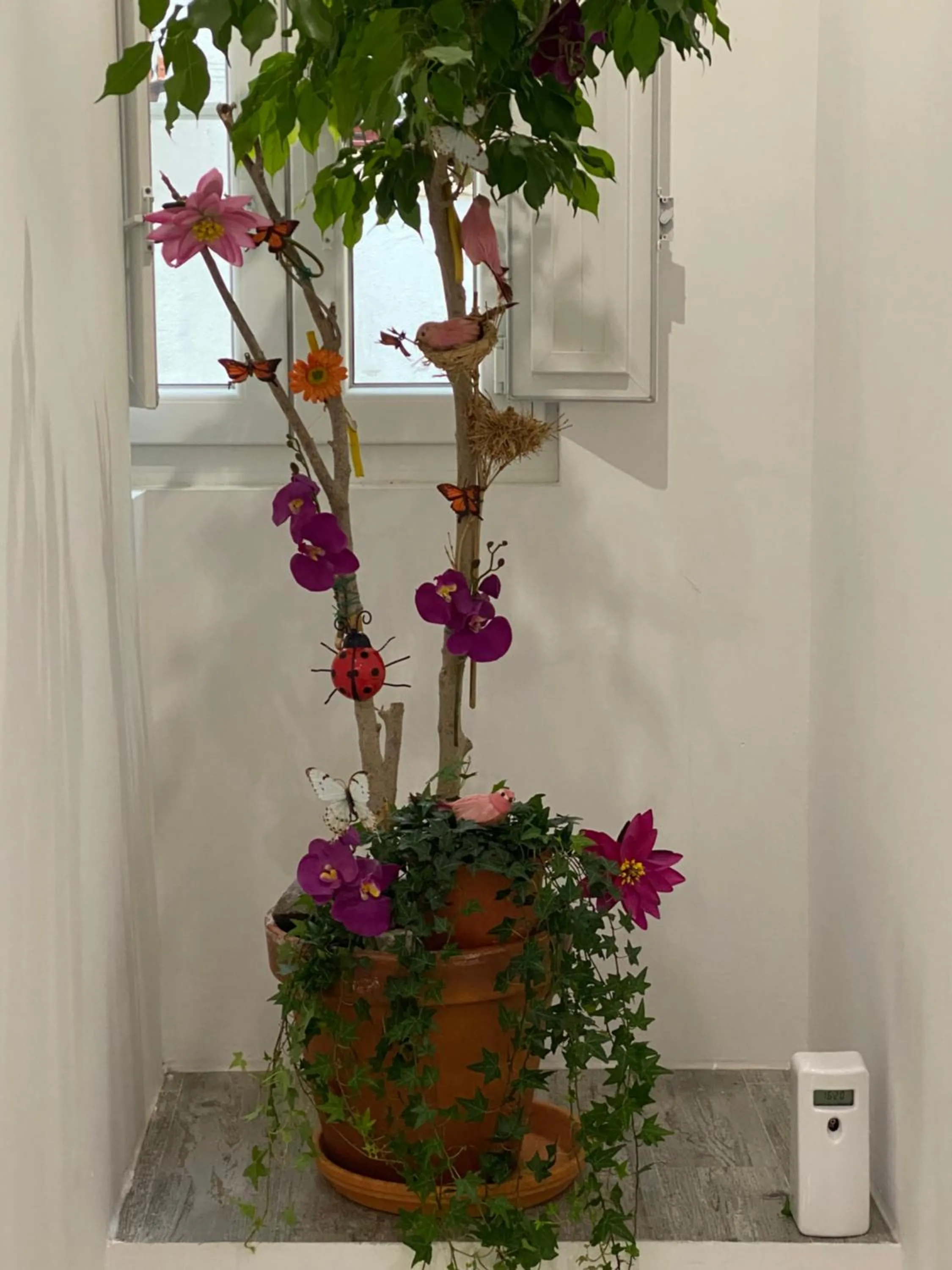 Property building in Castle Inn Lisbon Apartments