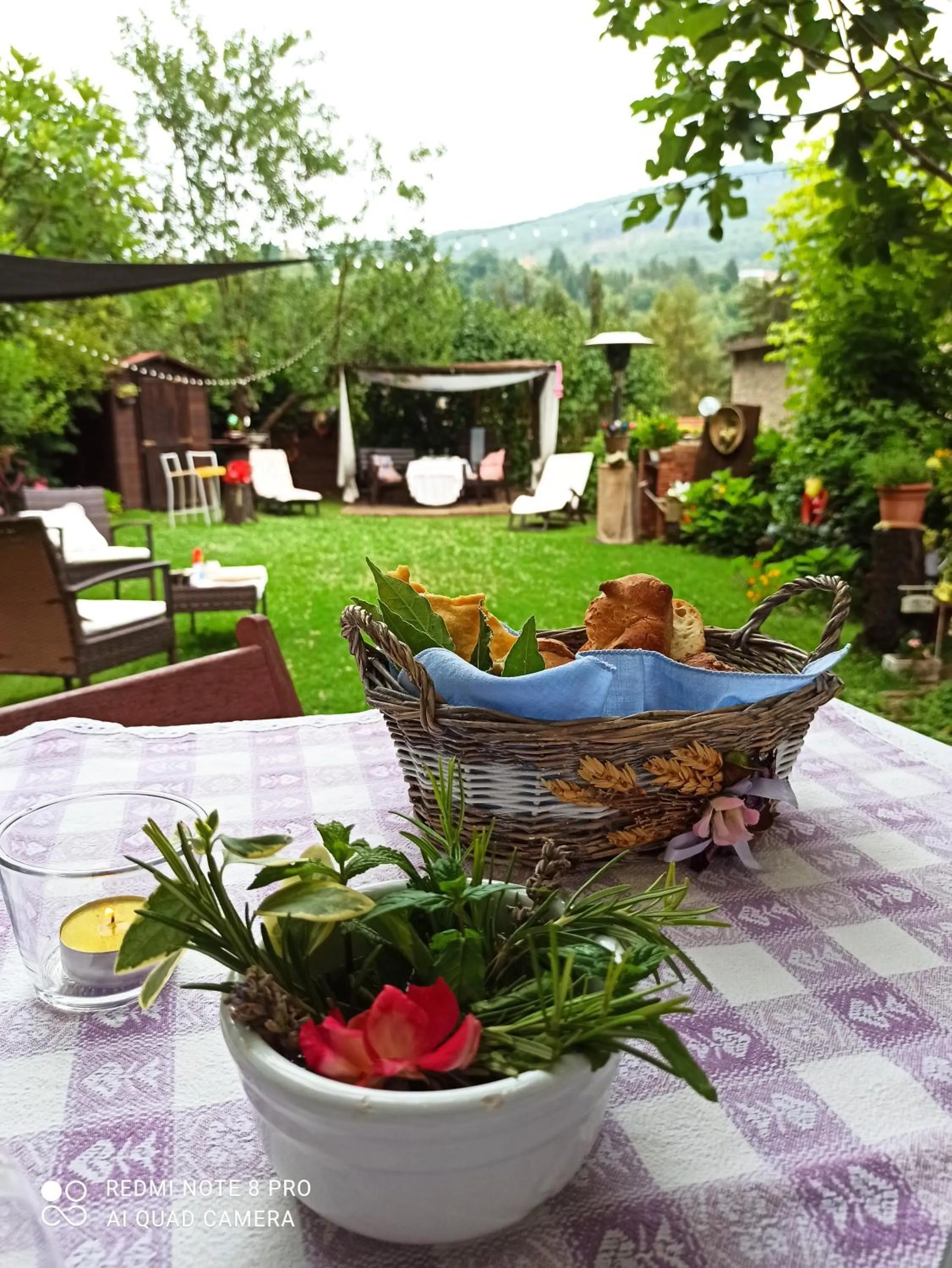 Garden in B&B Va...lentina