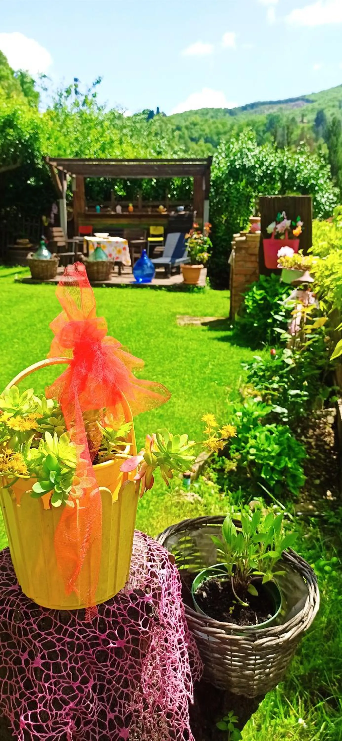 Garden in B&B Va...lentina