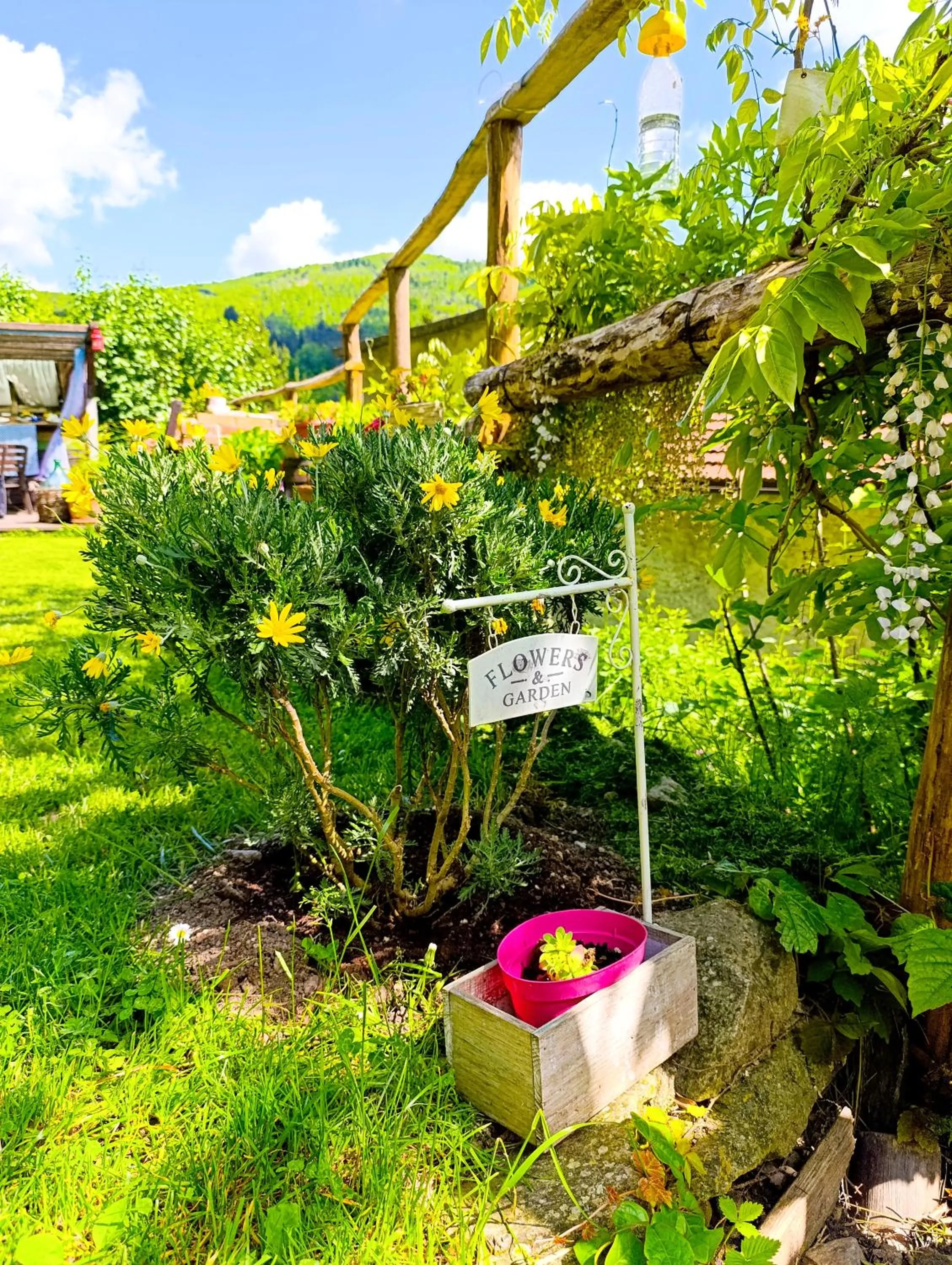 Garden in B&B Va...lentina