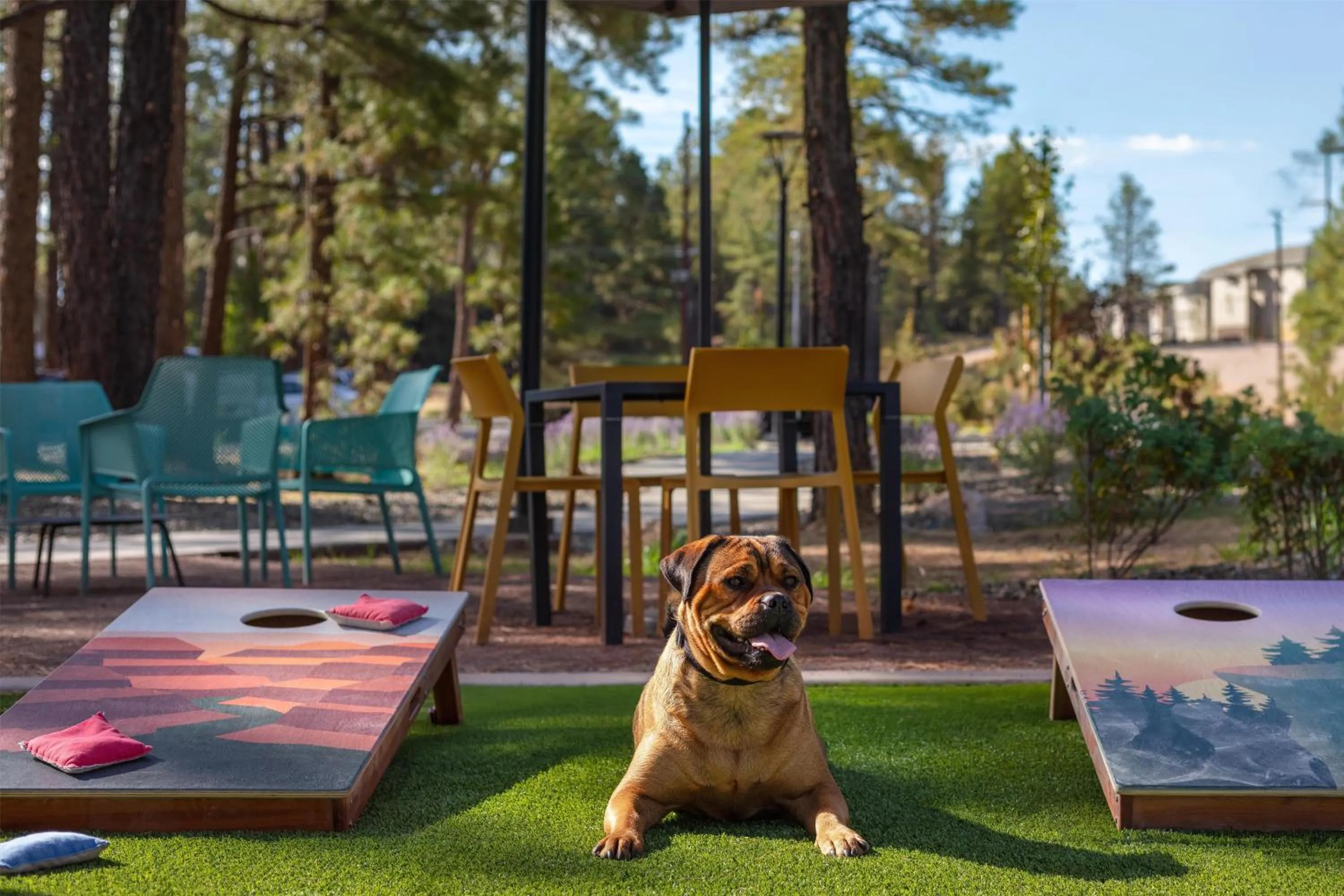 pet friendly in Home2 Suites By Hilton Flagstaff