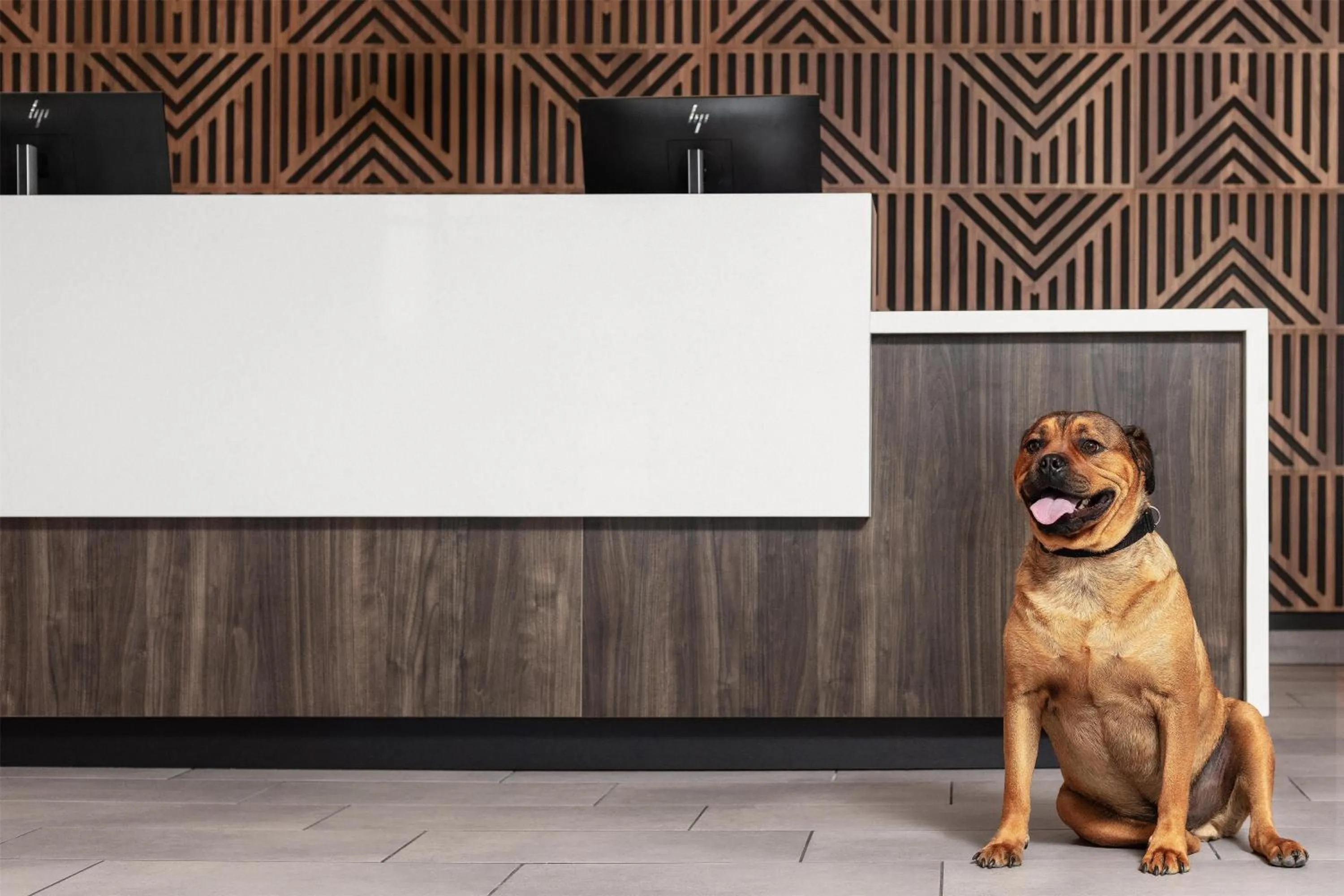 Lobby or reception in Tru By Hilton Flagstaff