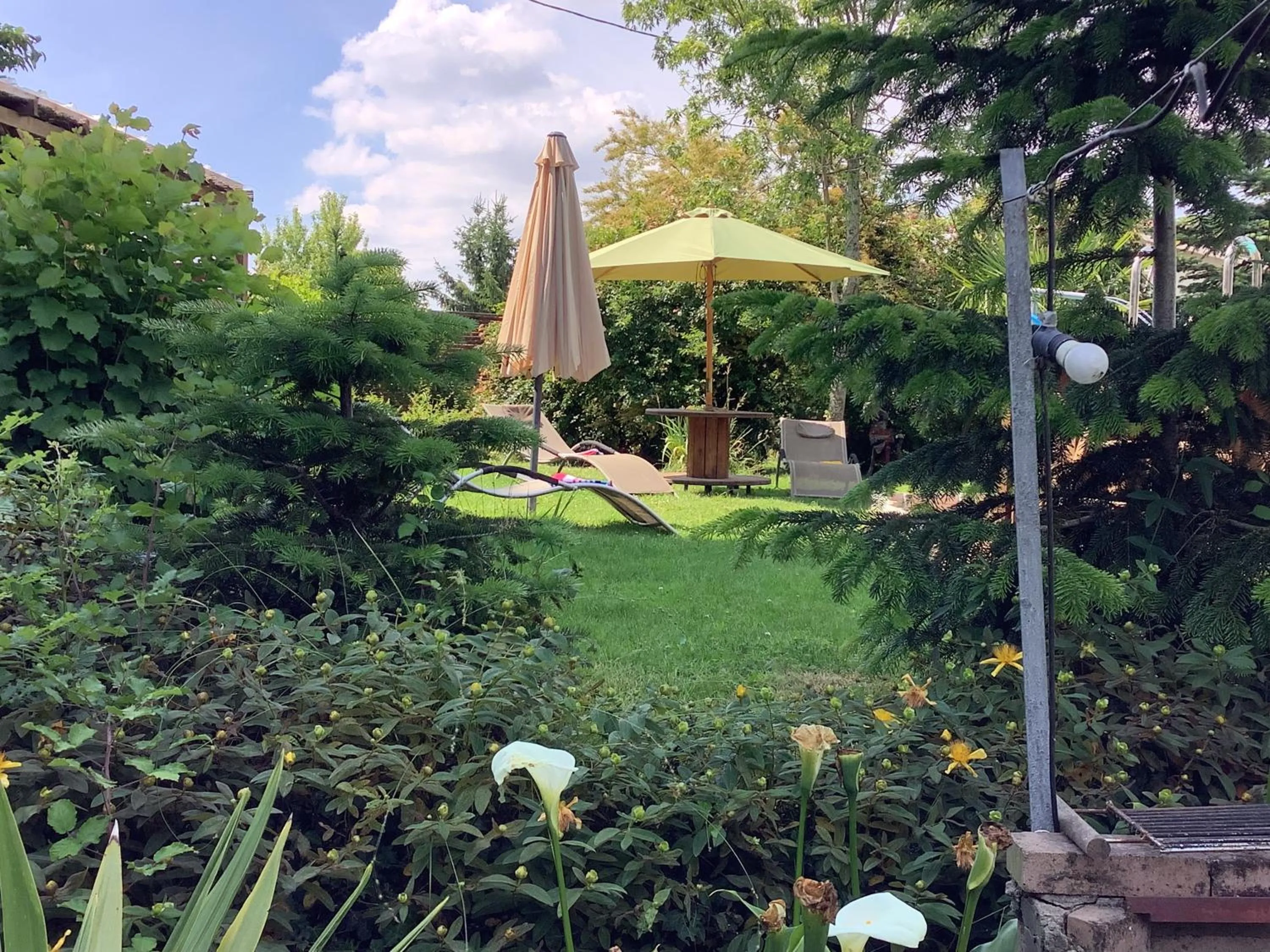 Garden in Viella Vacances